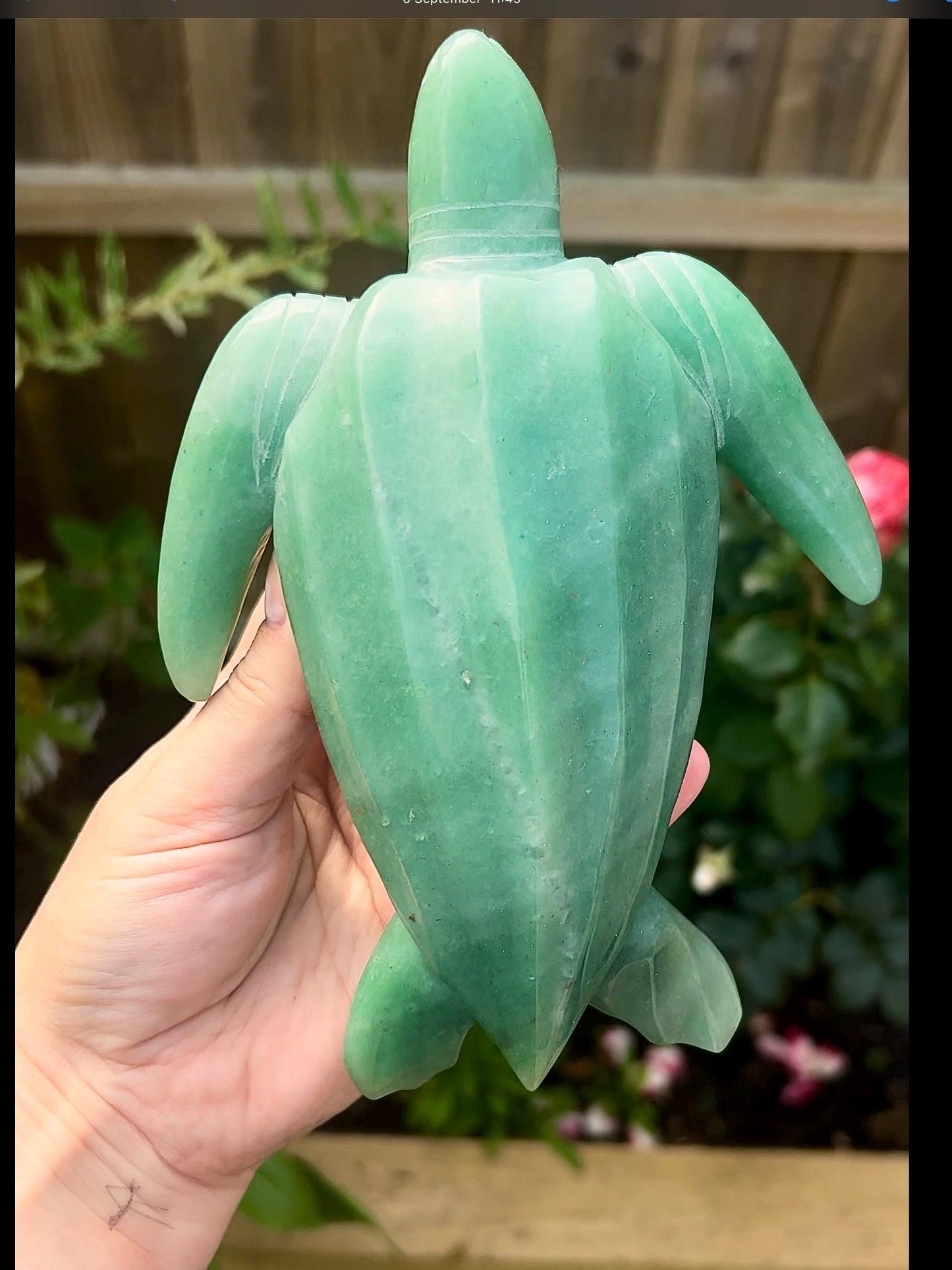 Extra high grade, Large, absolutely stunning , green adventurine sea turtle carving