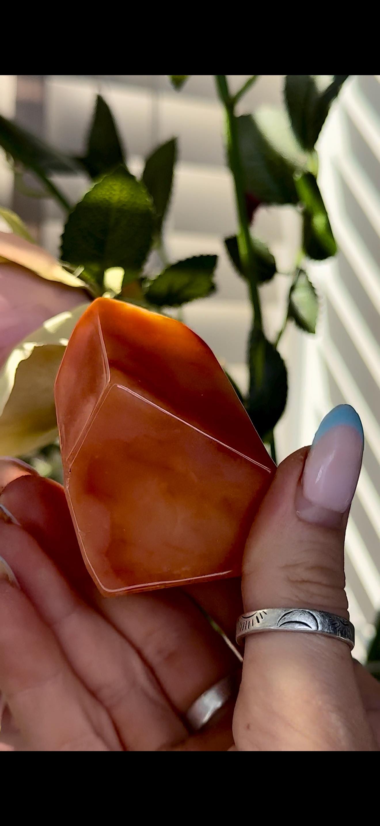 High quality, Carnelian Freeform