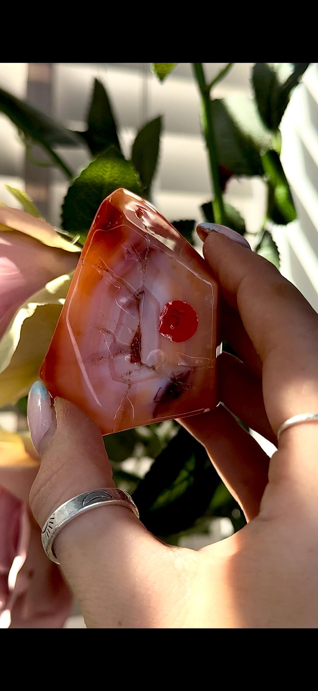 High quality, Carnelian Freeform