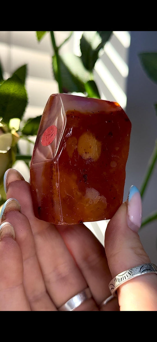 High quality, Carnelian Freeform