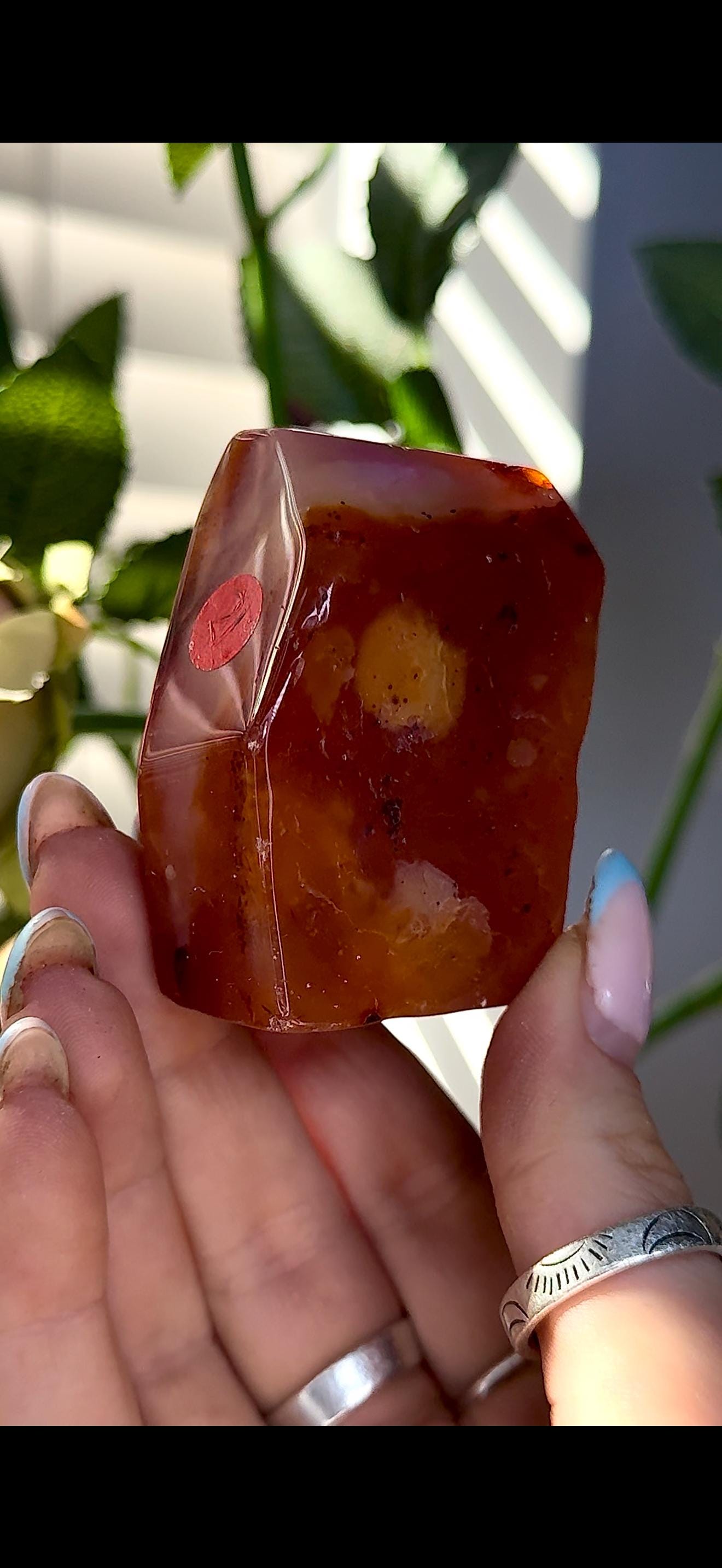High quality, Carnelian Freeform