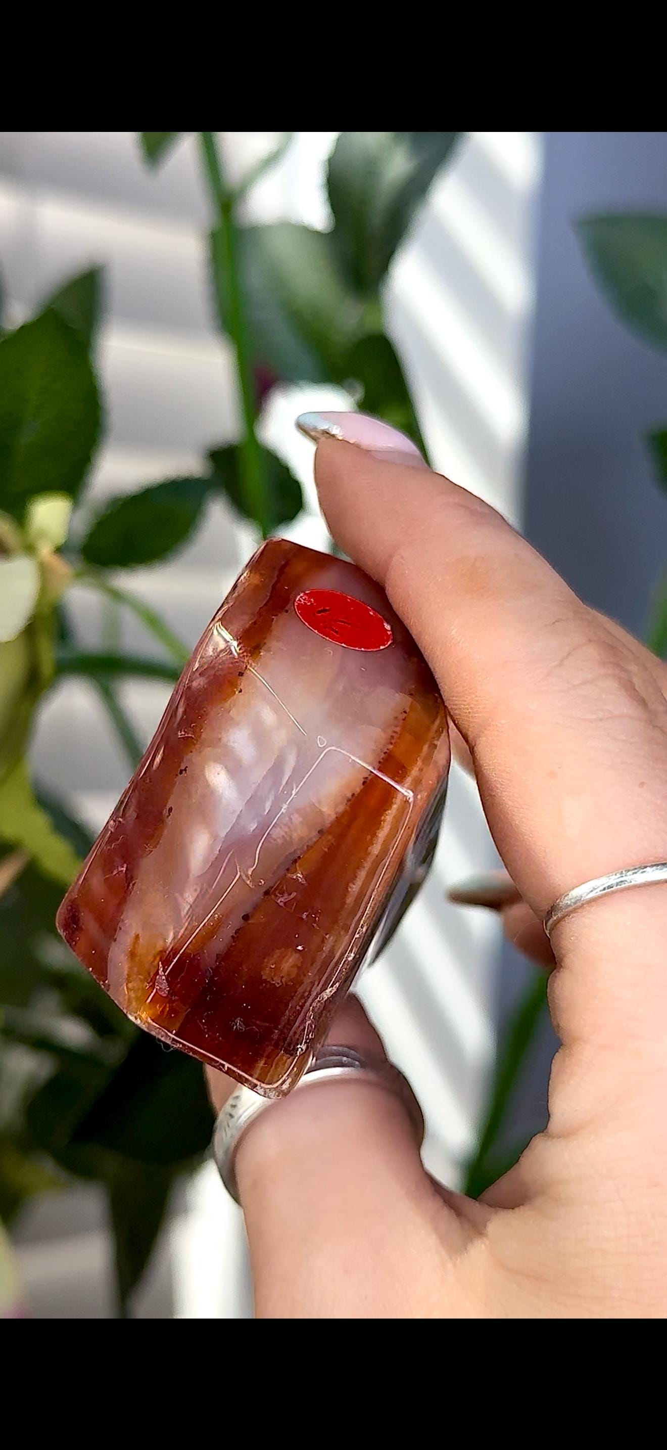 High quality, Carnelian Freeform