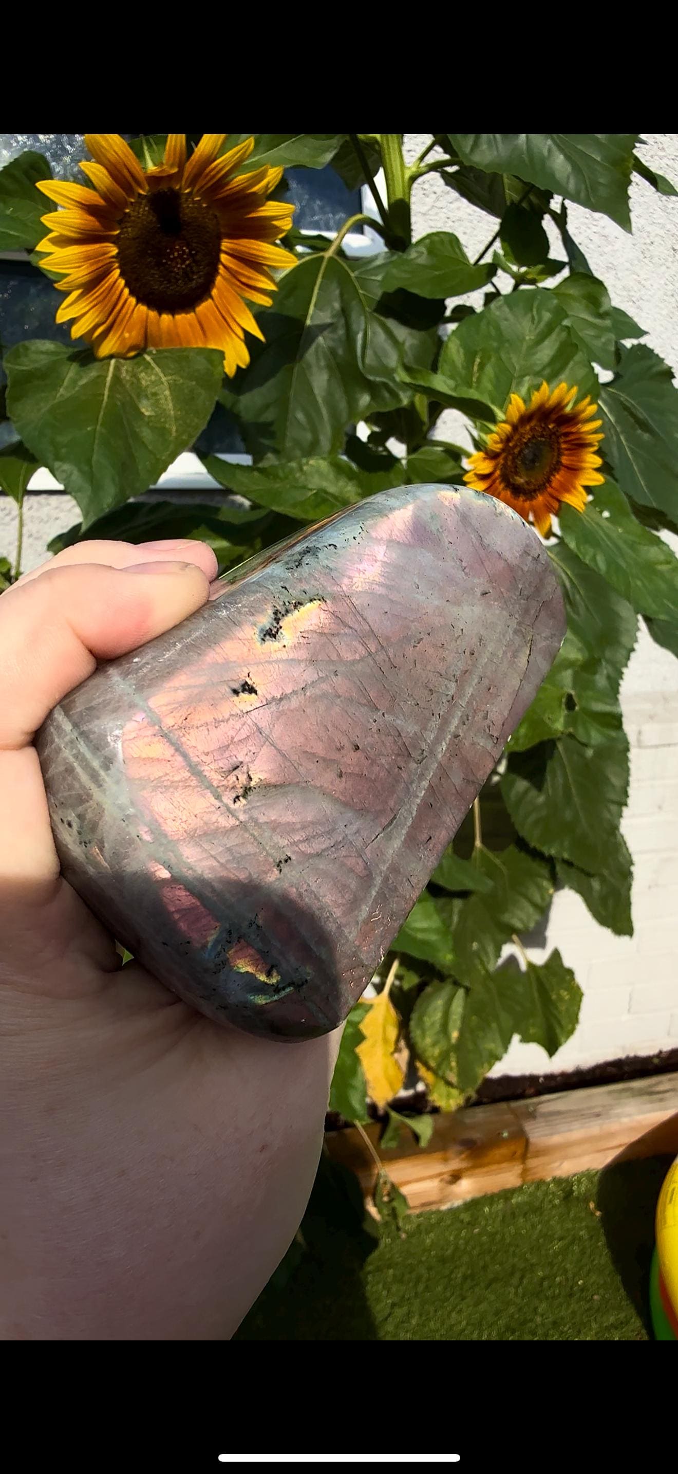 Light Flashy labradorite pink/peach sunset flash 510g