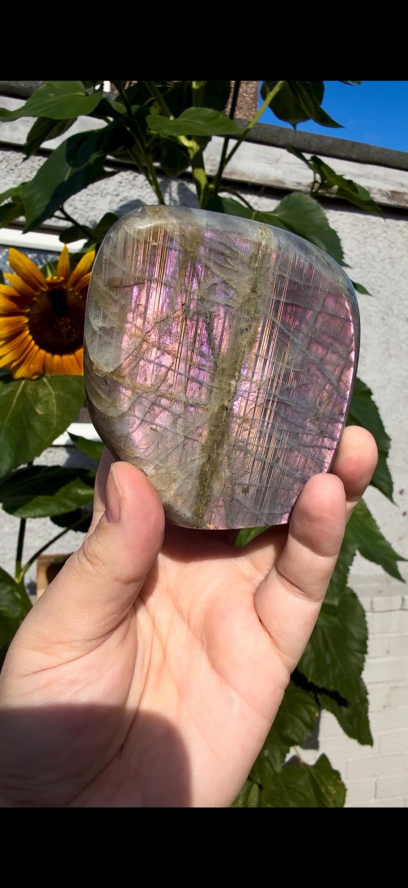 Flashy labradorite with double flash, in pink sunset tones 430g