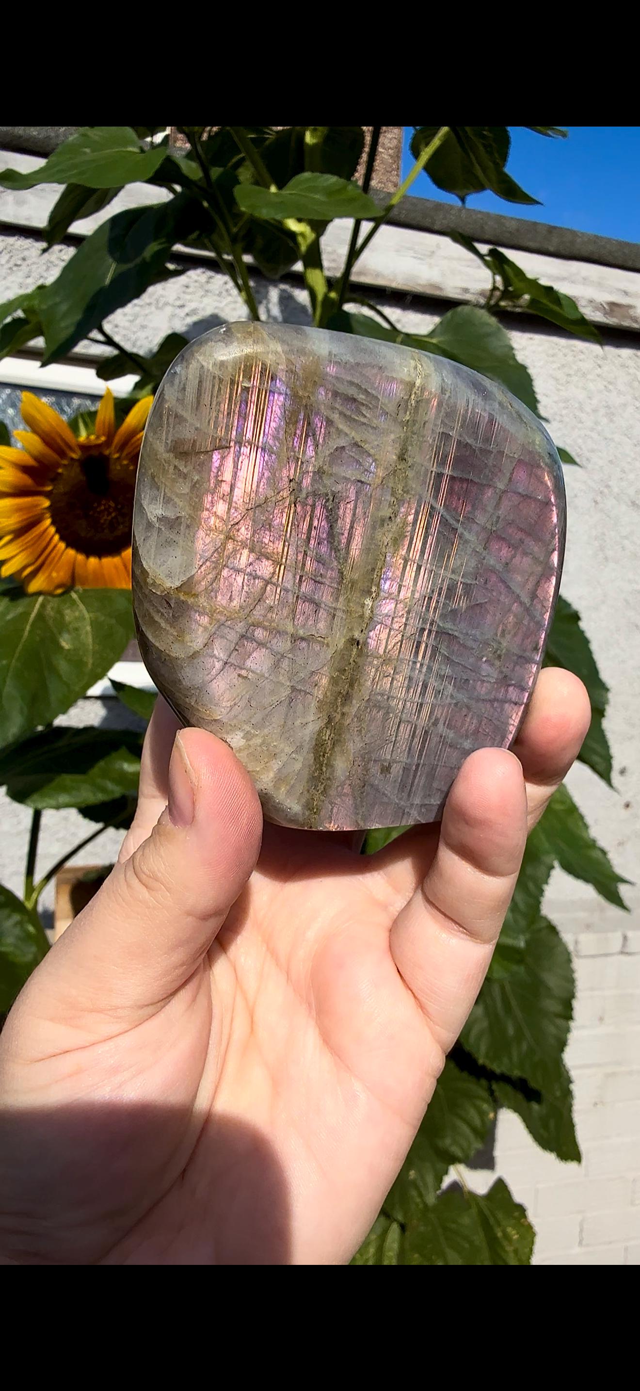 Flashy labradorite with double flash, in pink sunset tones 430g