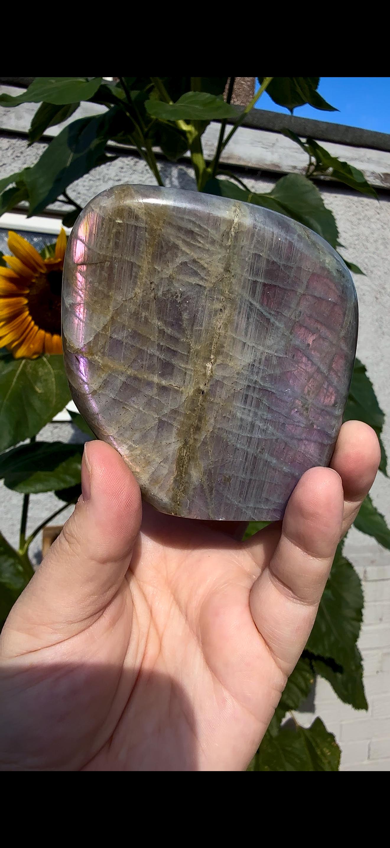 Flashy labradorite with double flash, in pink sunset tones 430g