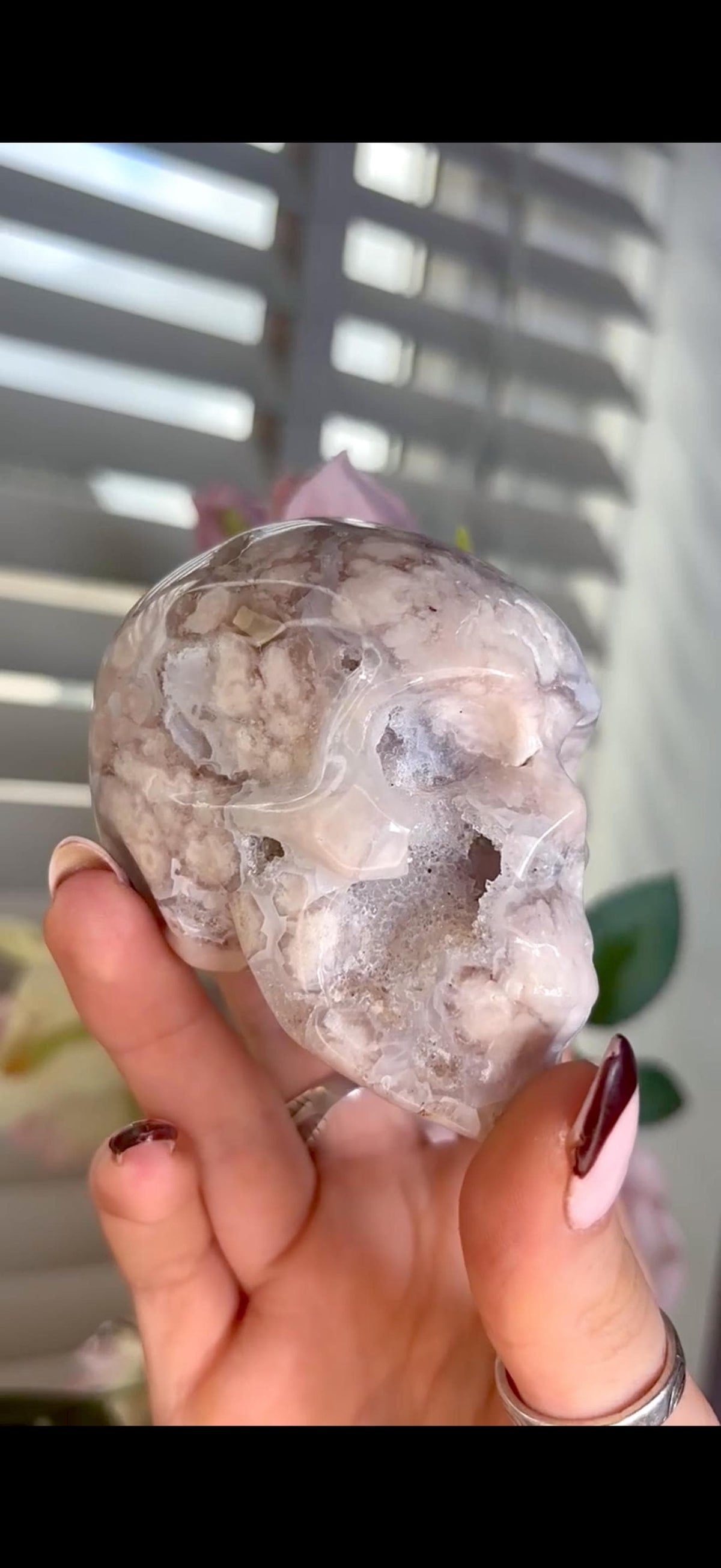 Flower agate skull in pink & blue tones with druzy face