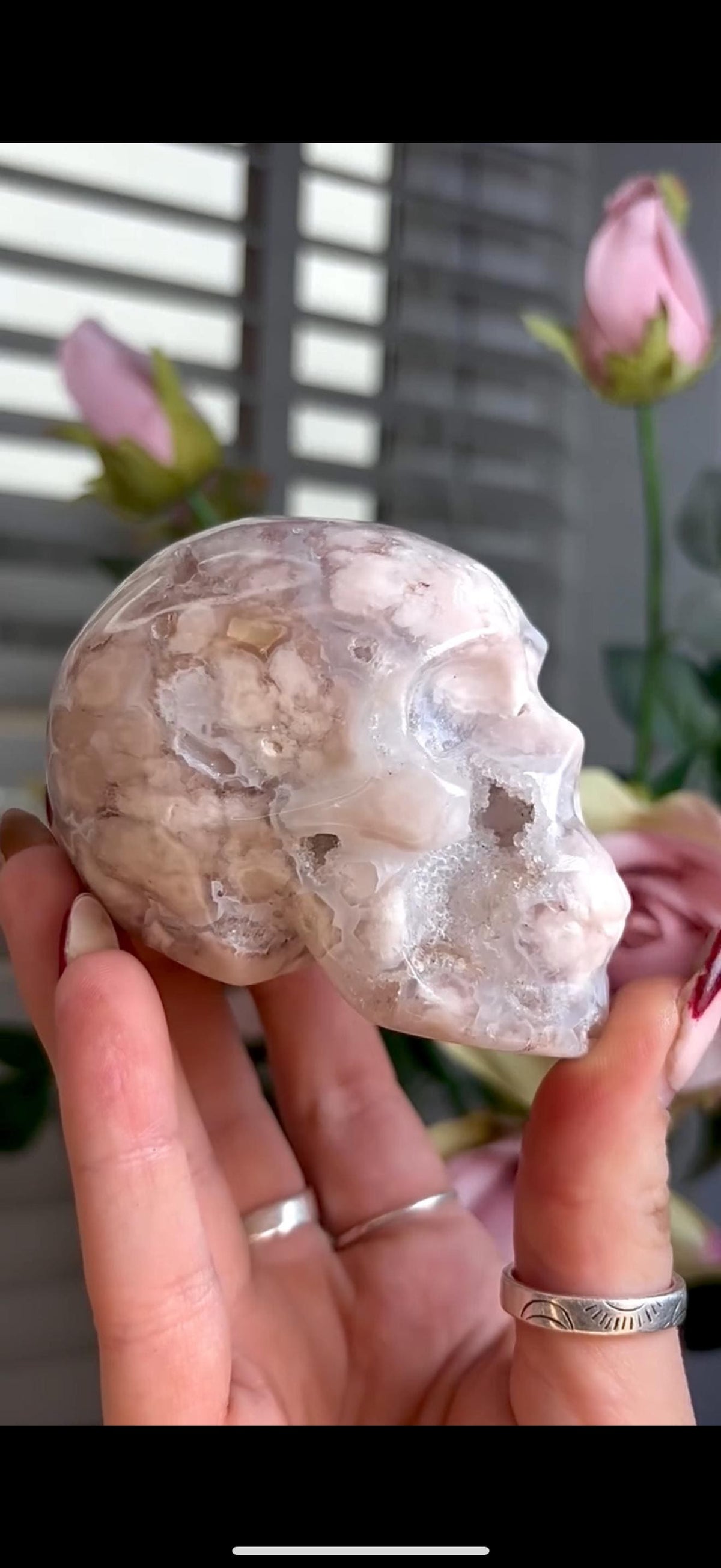 Flower agate skull in pink & blue tones with druzy face