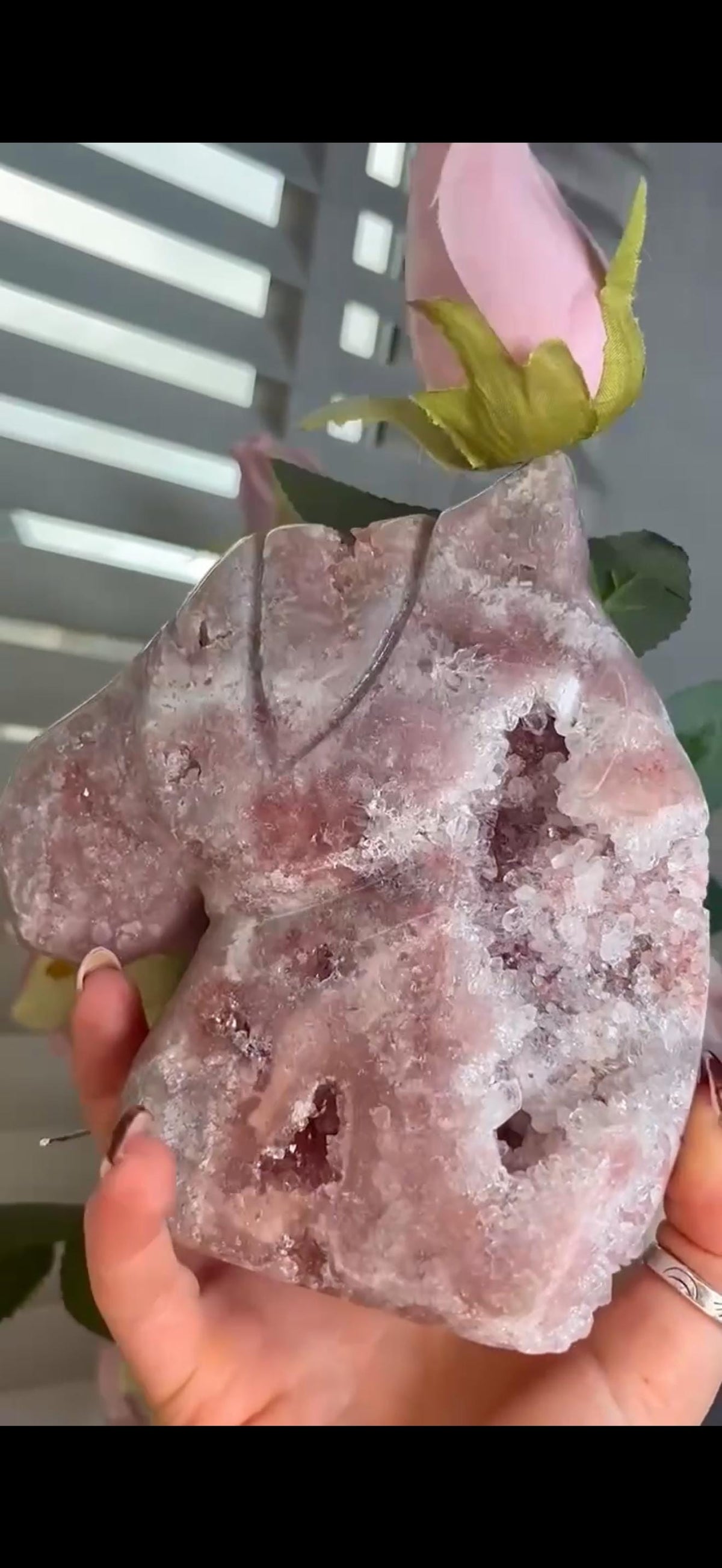 High grade, pink amethyst horse carving with quartz druzy