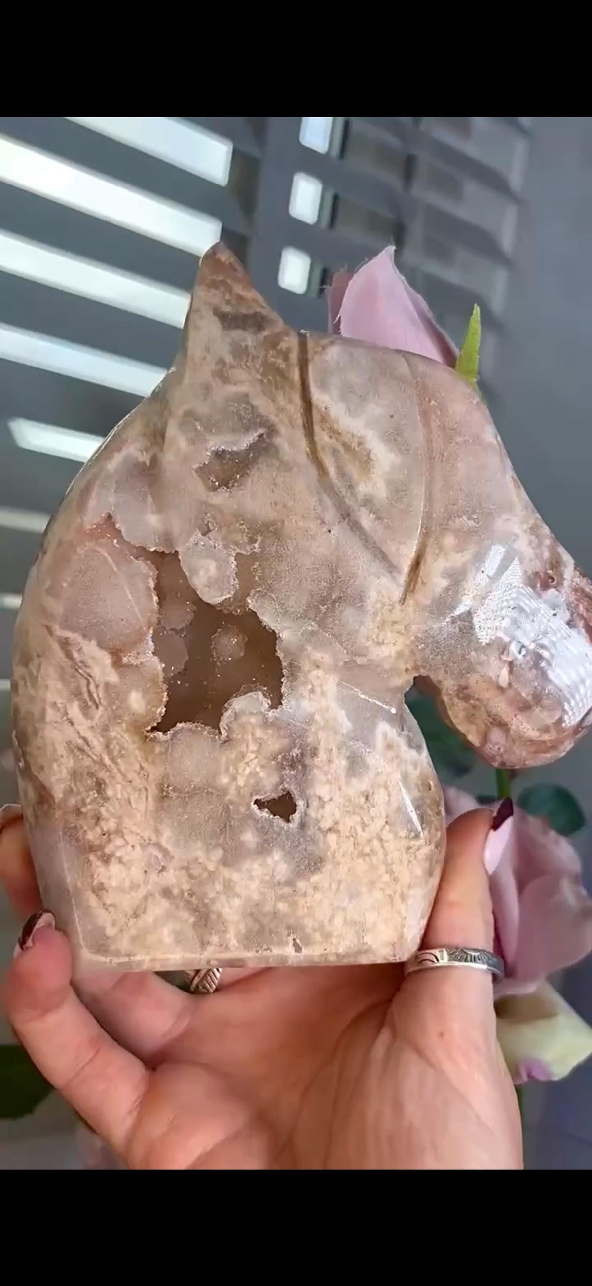 High grade, golden pink amethyst horse, pony carving with sugar druzy 820g