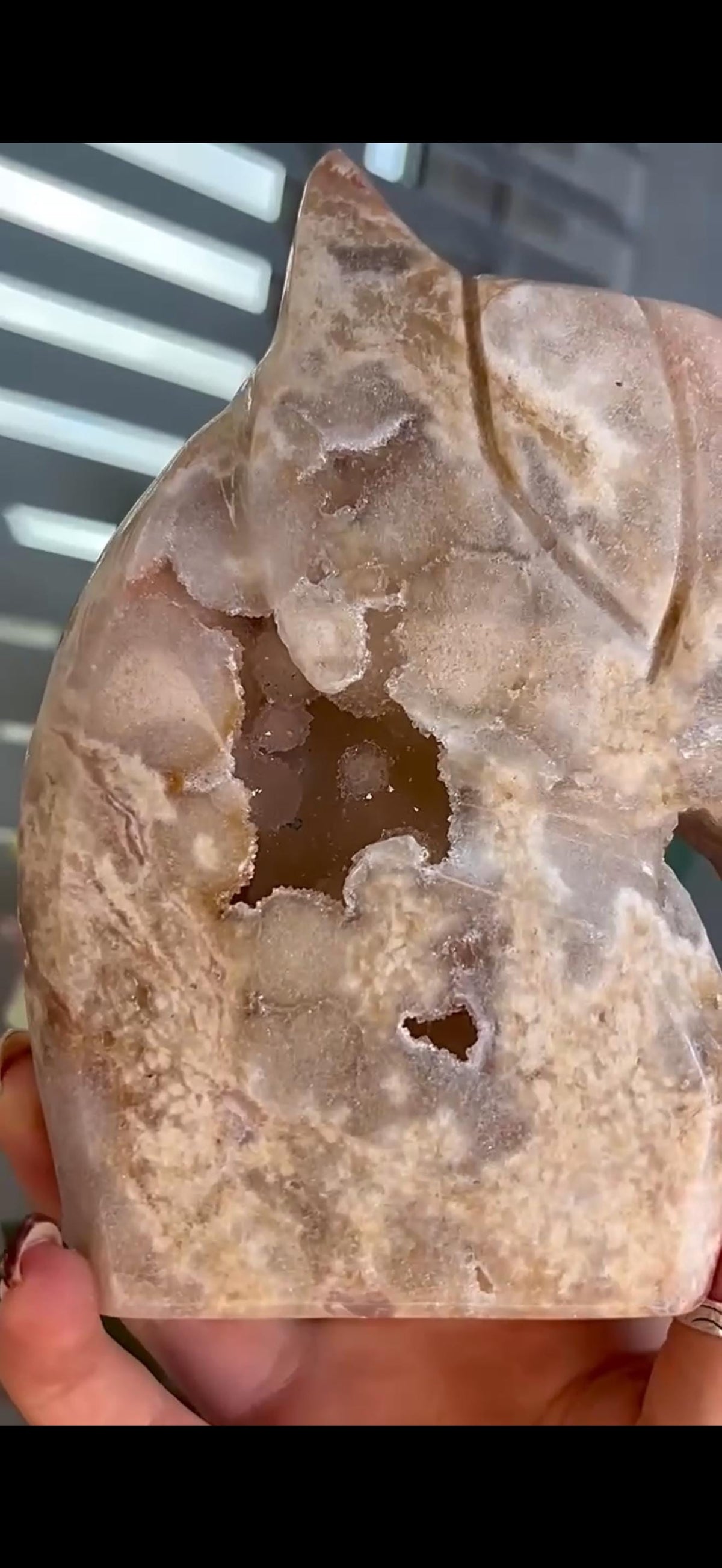High grade, golden pink amethyst horse, pony carving with sugar druzy 820g