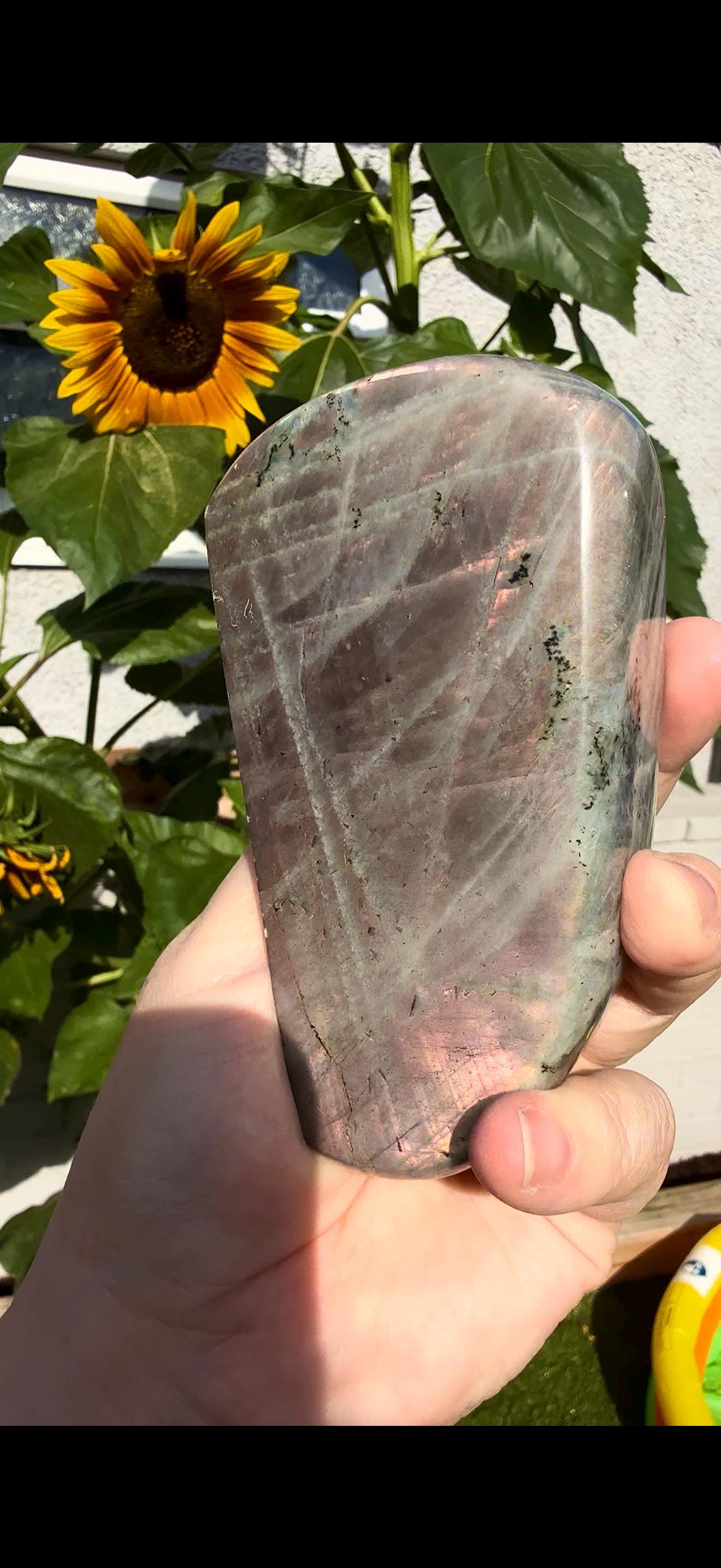 Light Flashy labradorite pink/peach sunset flash 510g