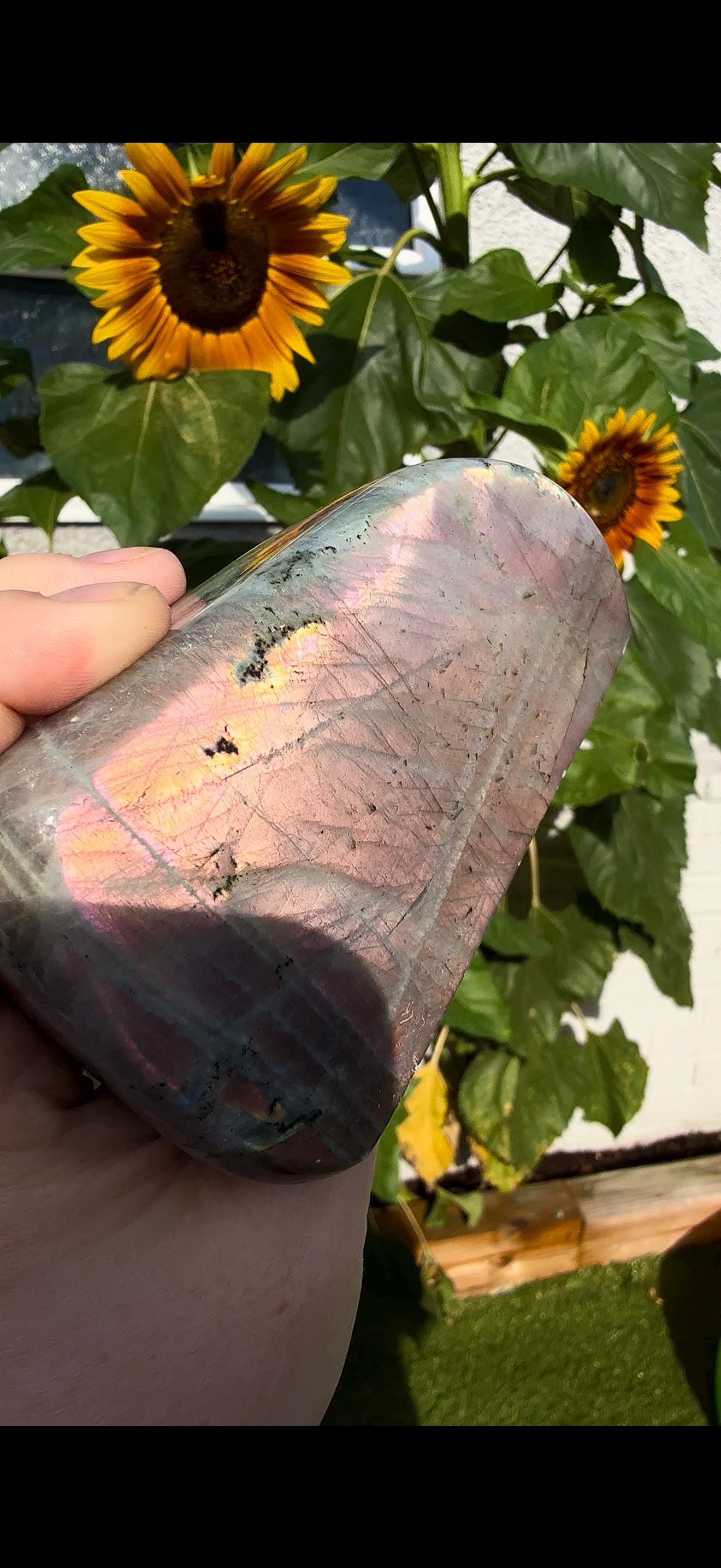 Light Flashy labradorite pink/peach sunset flash 510g