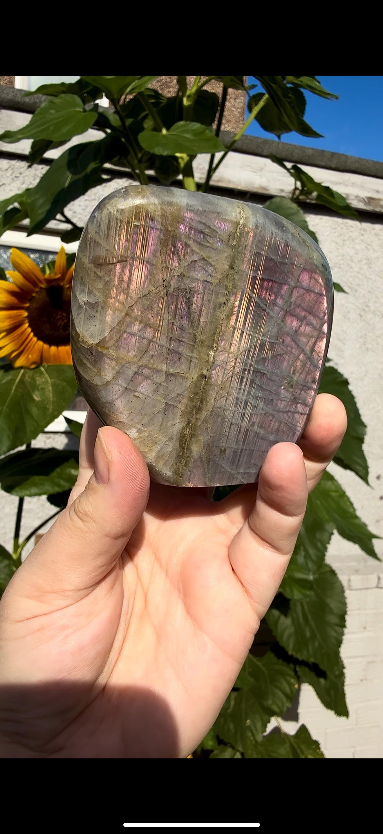 Flashy labradorite with double flash, in pink sunset tones 430g