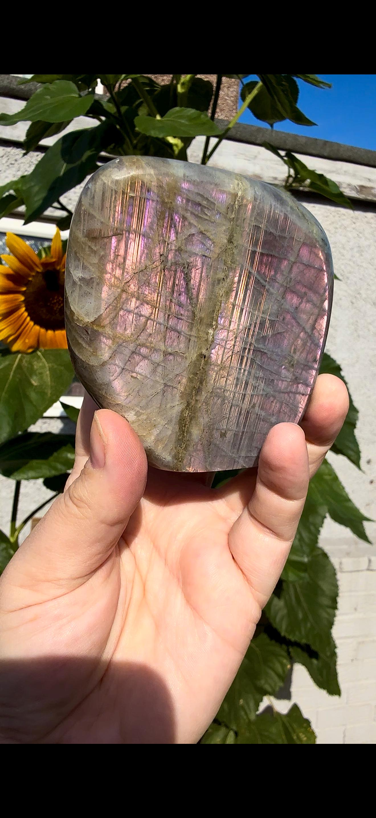 Flashy labradorite with double flash, in pink sunset tones 430g
