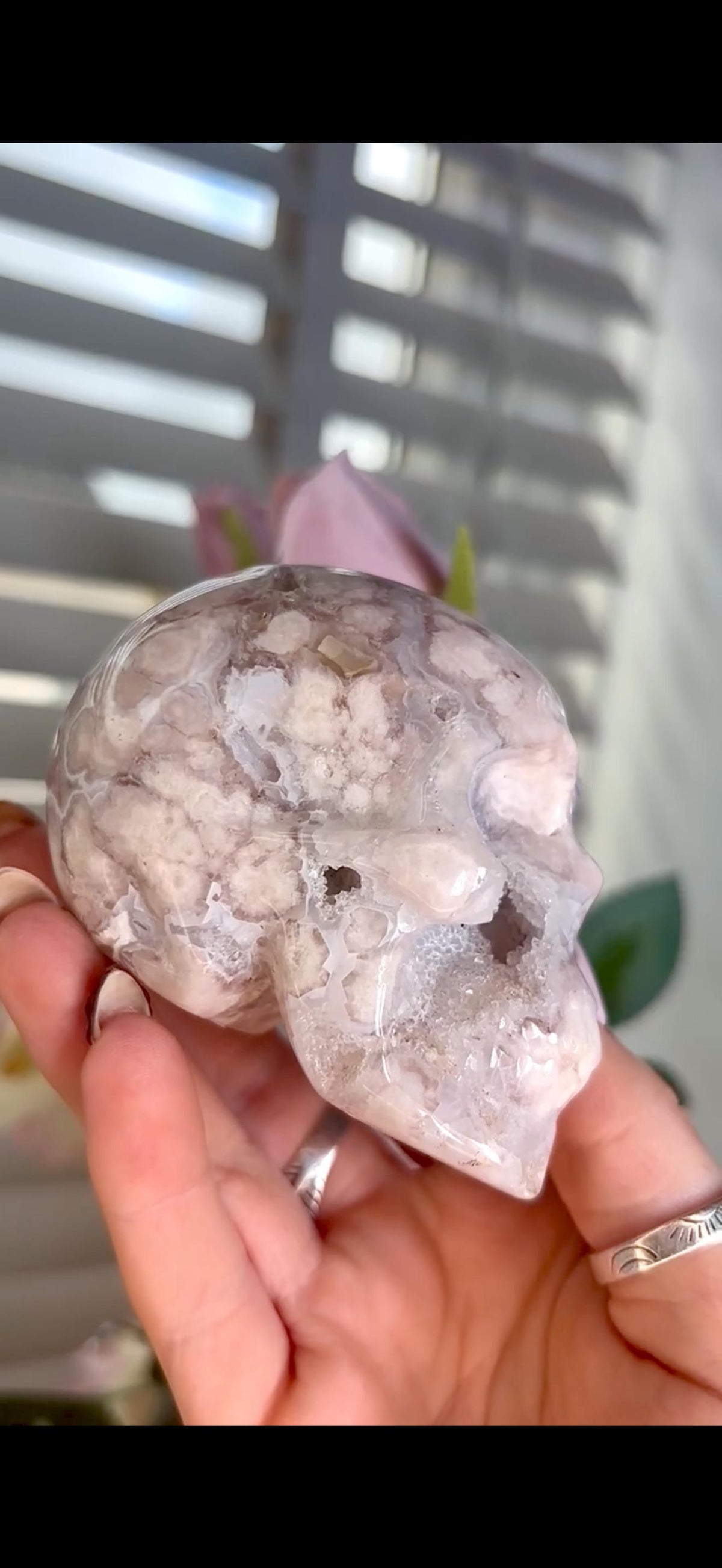 Flower agate skull in pink & blue tones with druzy face