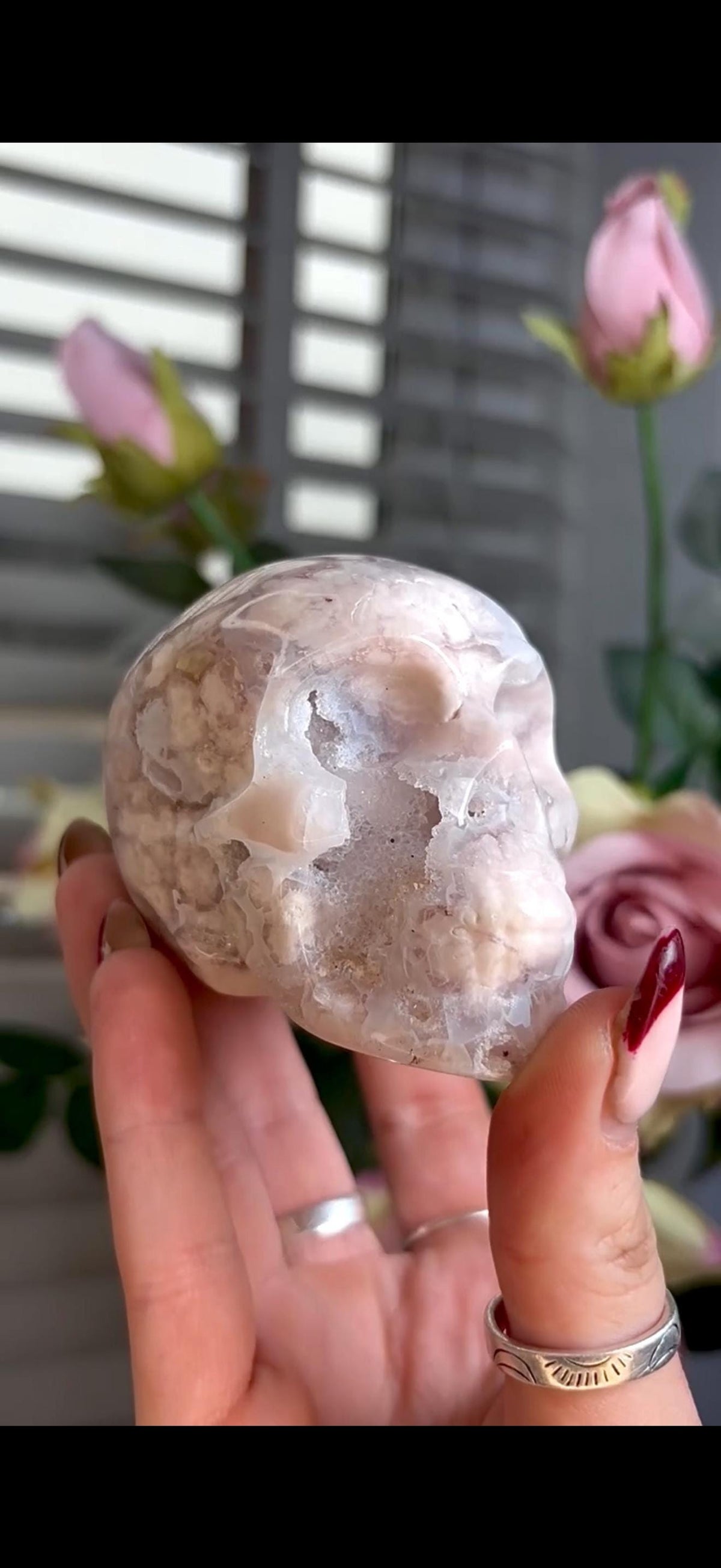 Flower agate skull in pink & blue tones with druzy face