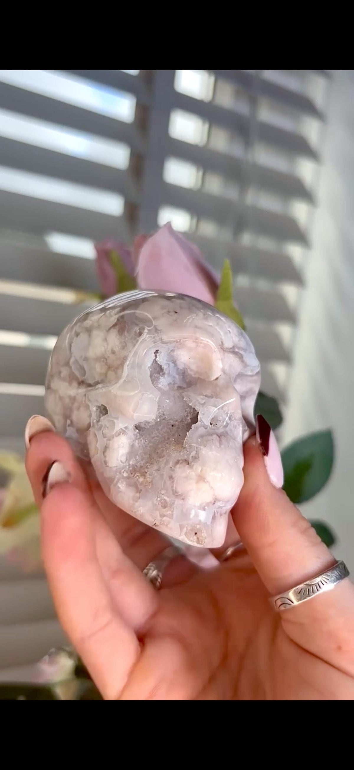 Flower agate skull in pink & blue tones with druzy face
