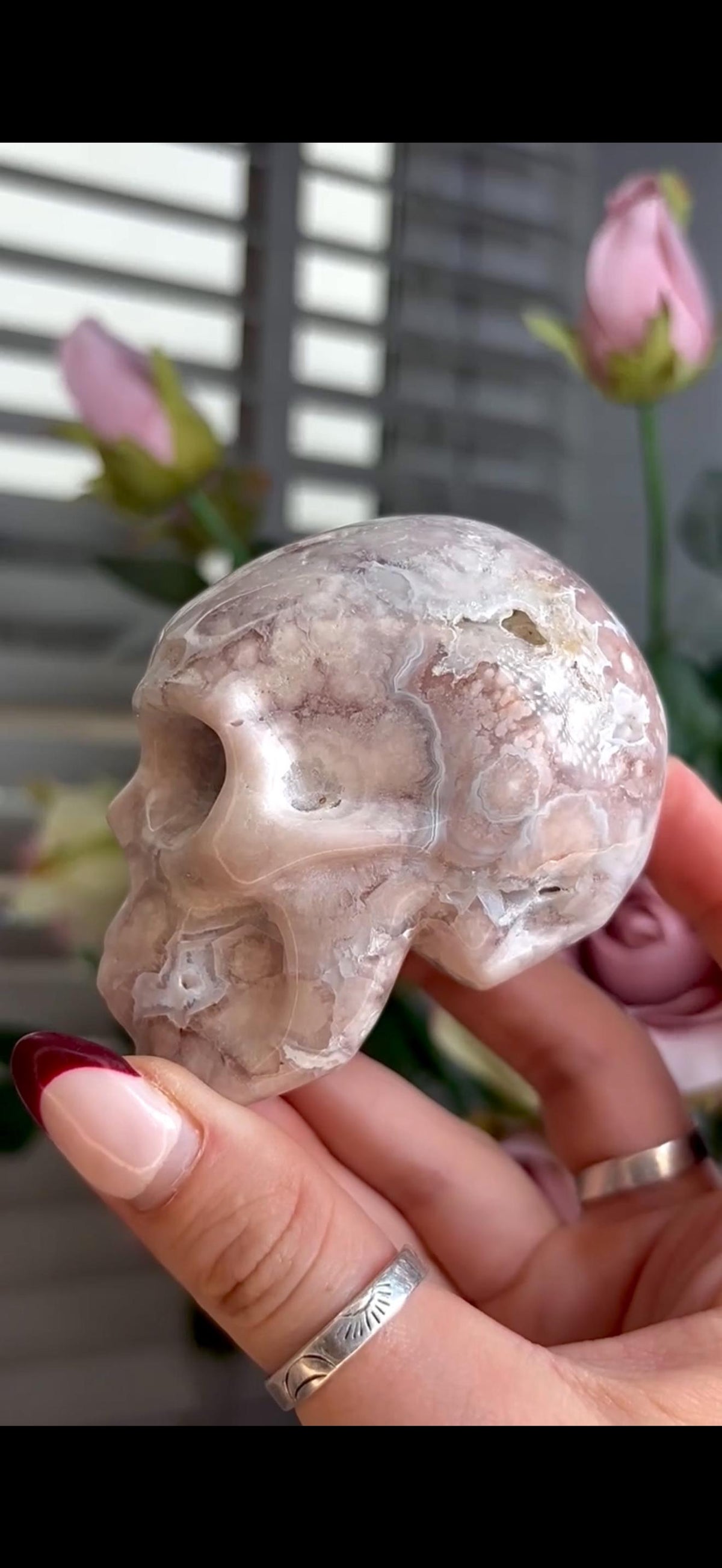 Flower agate skull in pink & blue tones with druzy face