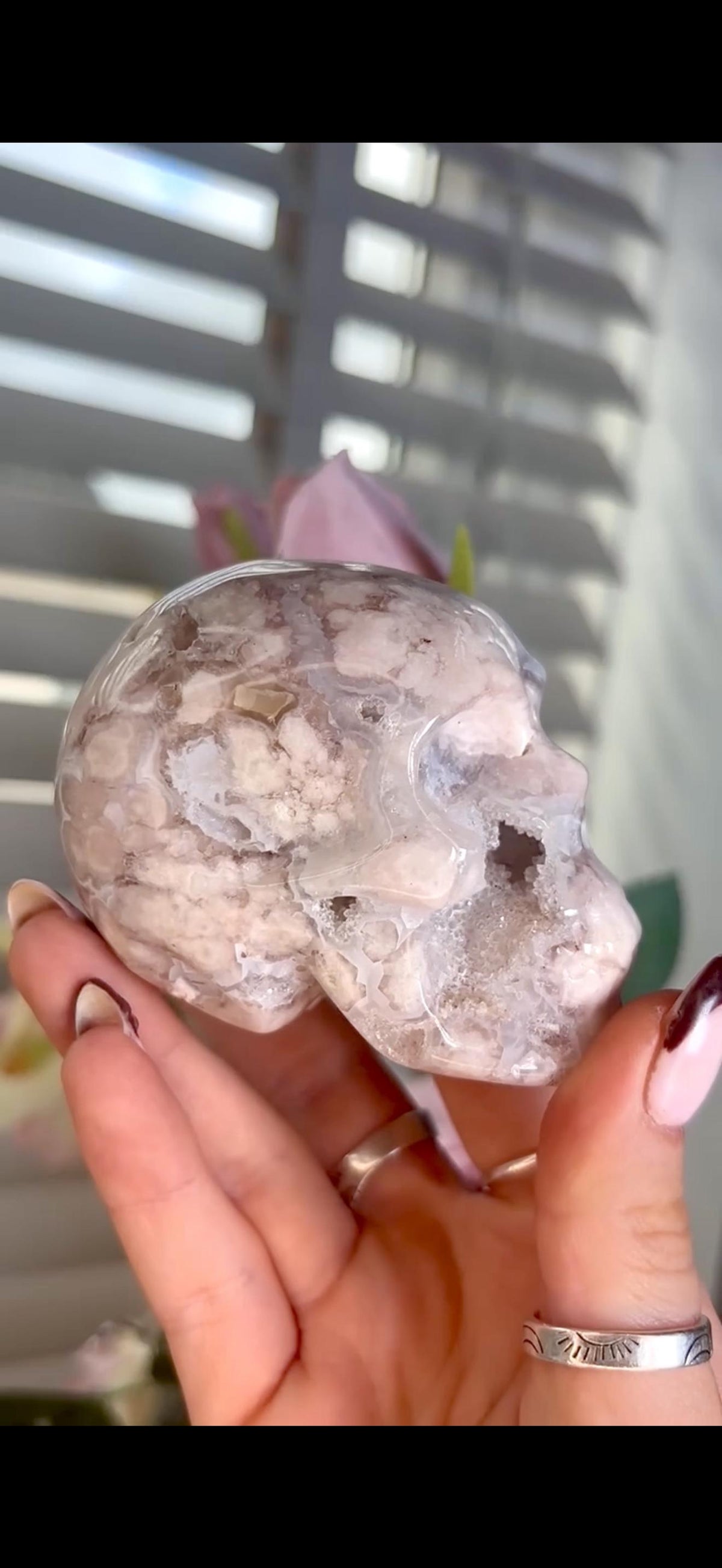 Flower agate skull in pink & blue tones with druzy face