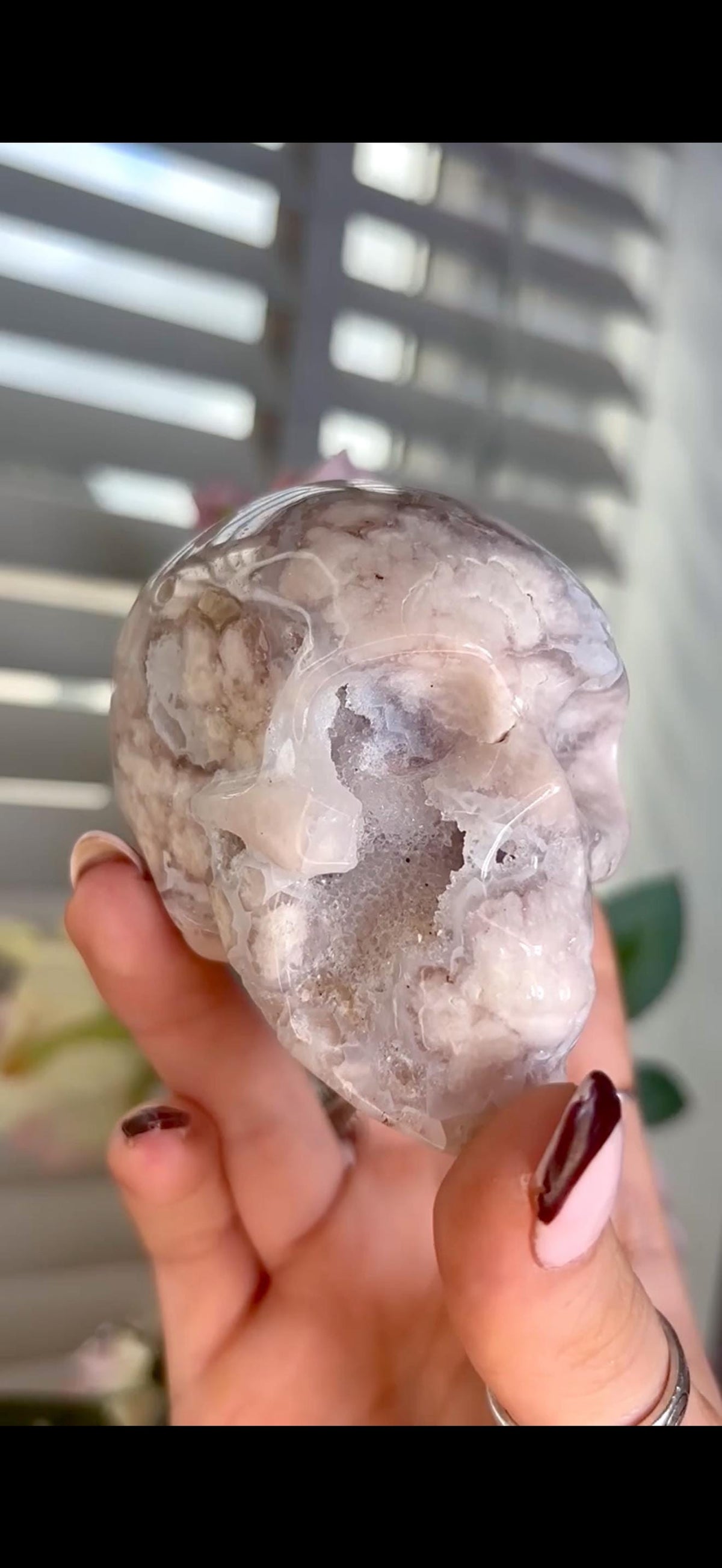 Flower agate skull in pink & blue tones with druzy face