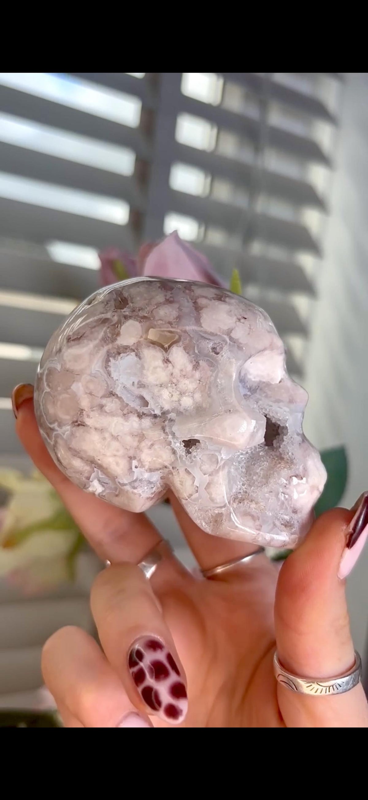 Flower agate skull in pink & blue tones with druzy face