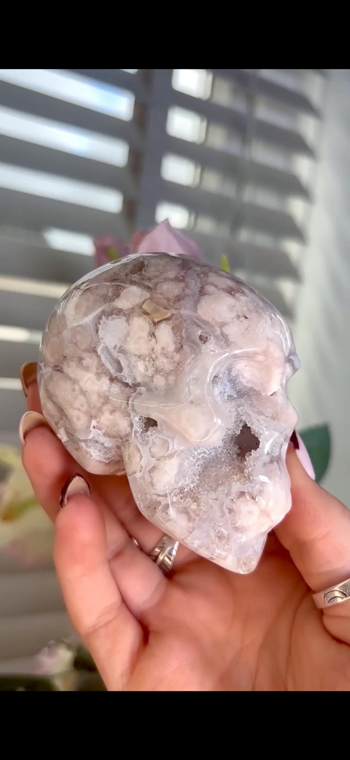 Flower agate skull in pink & blue tones with druzy face