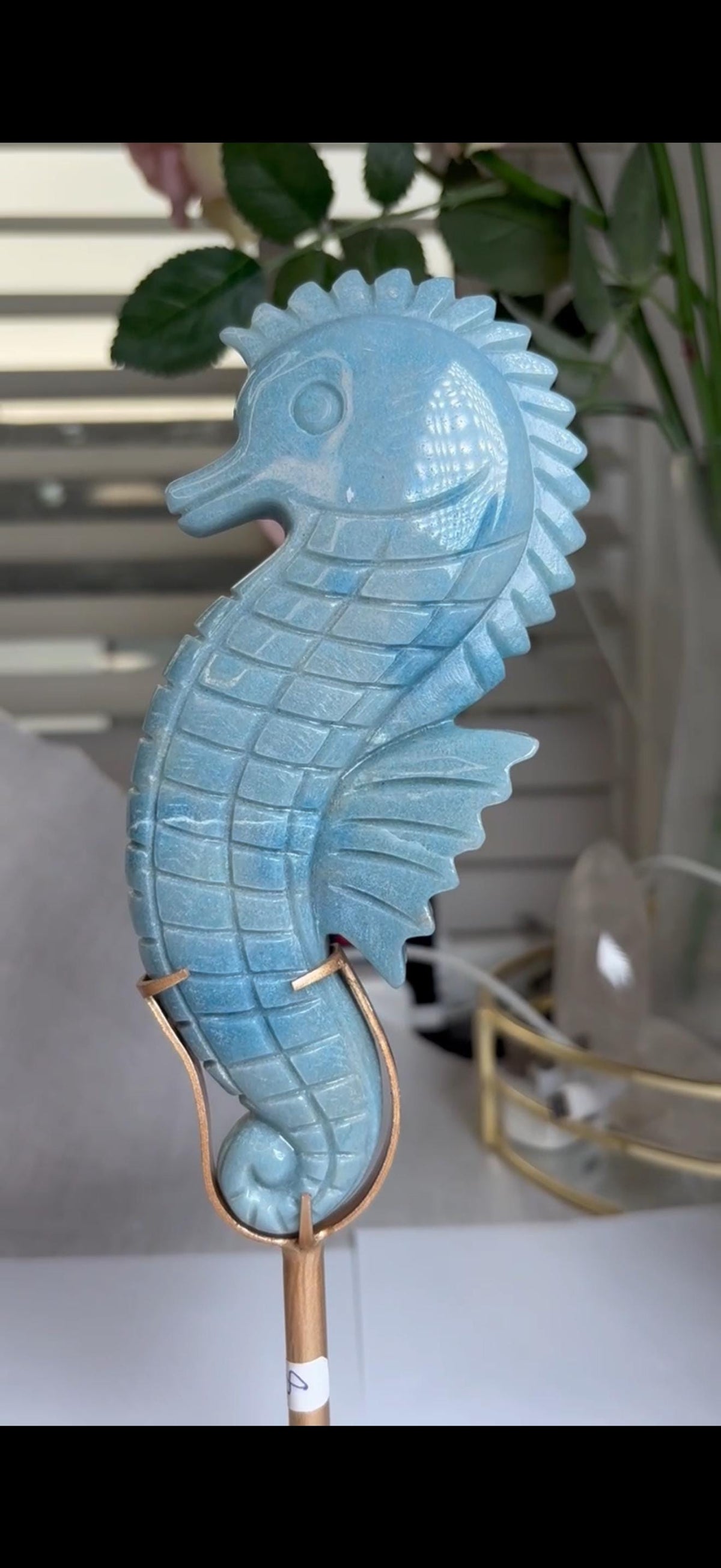 Gorgeous blue trolliete, sea horse - on custom stand