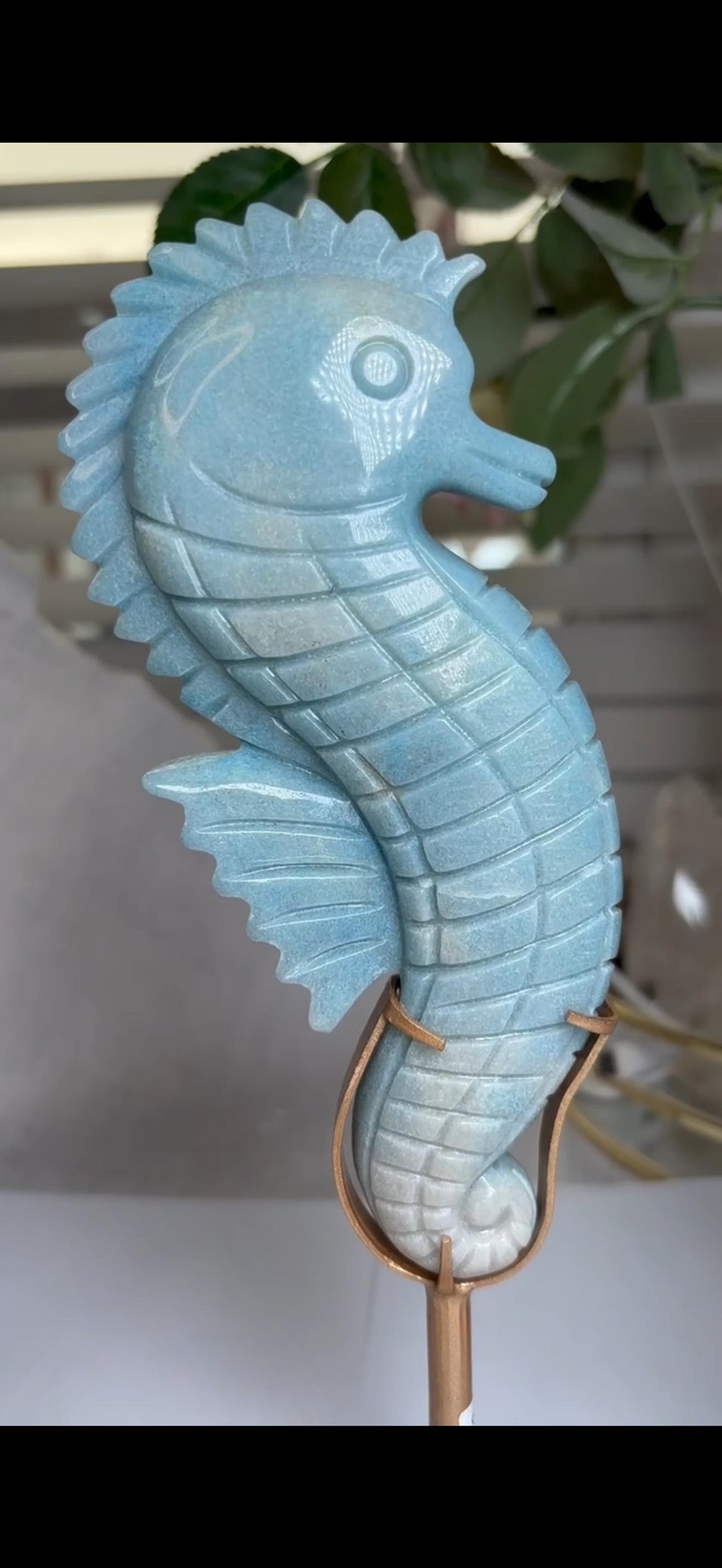 Gorgeous blue trolliete, sea horse - on custom stand