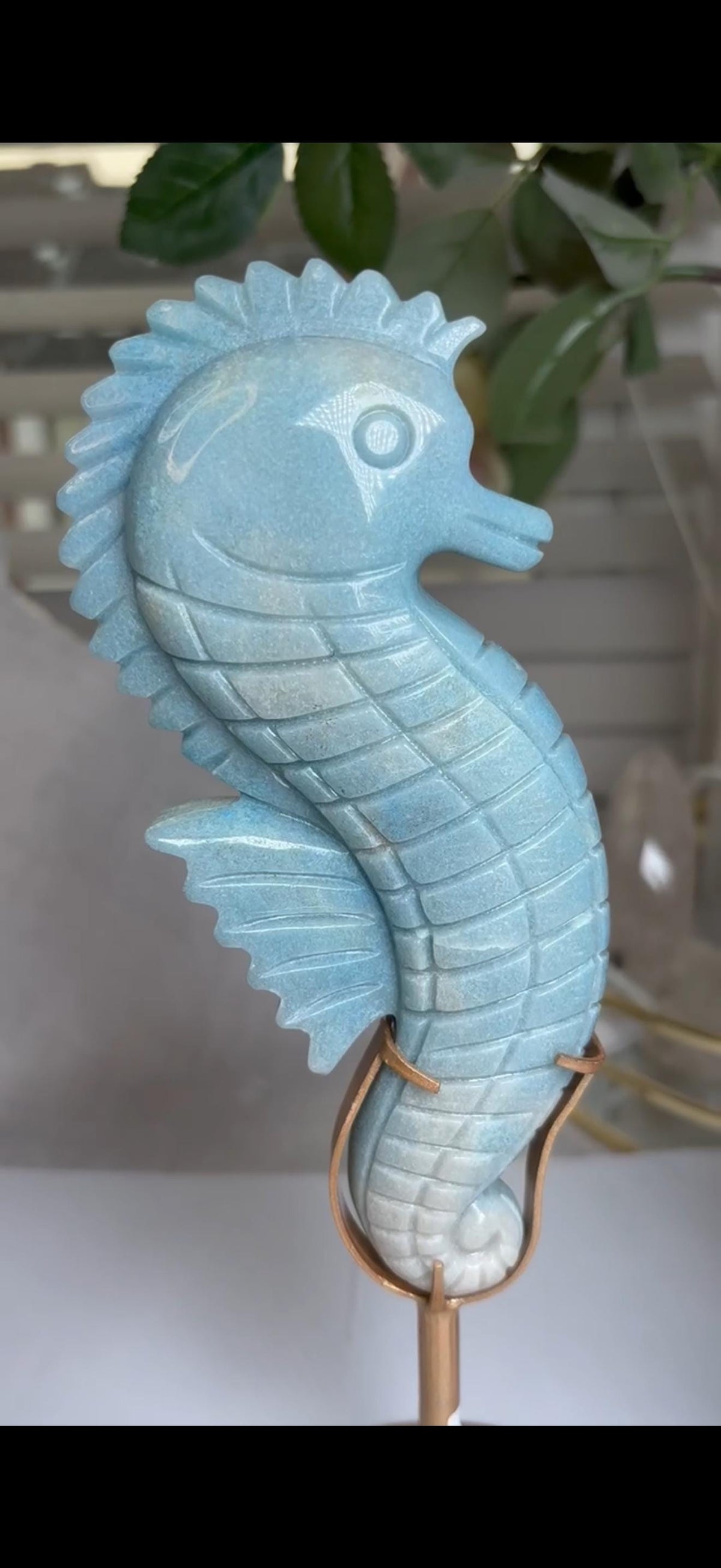 Gorgeous blue trolliete, sea horse - on custom stand