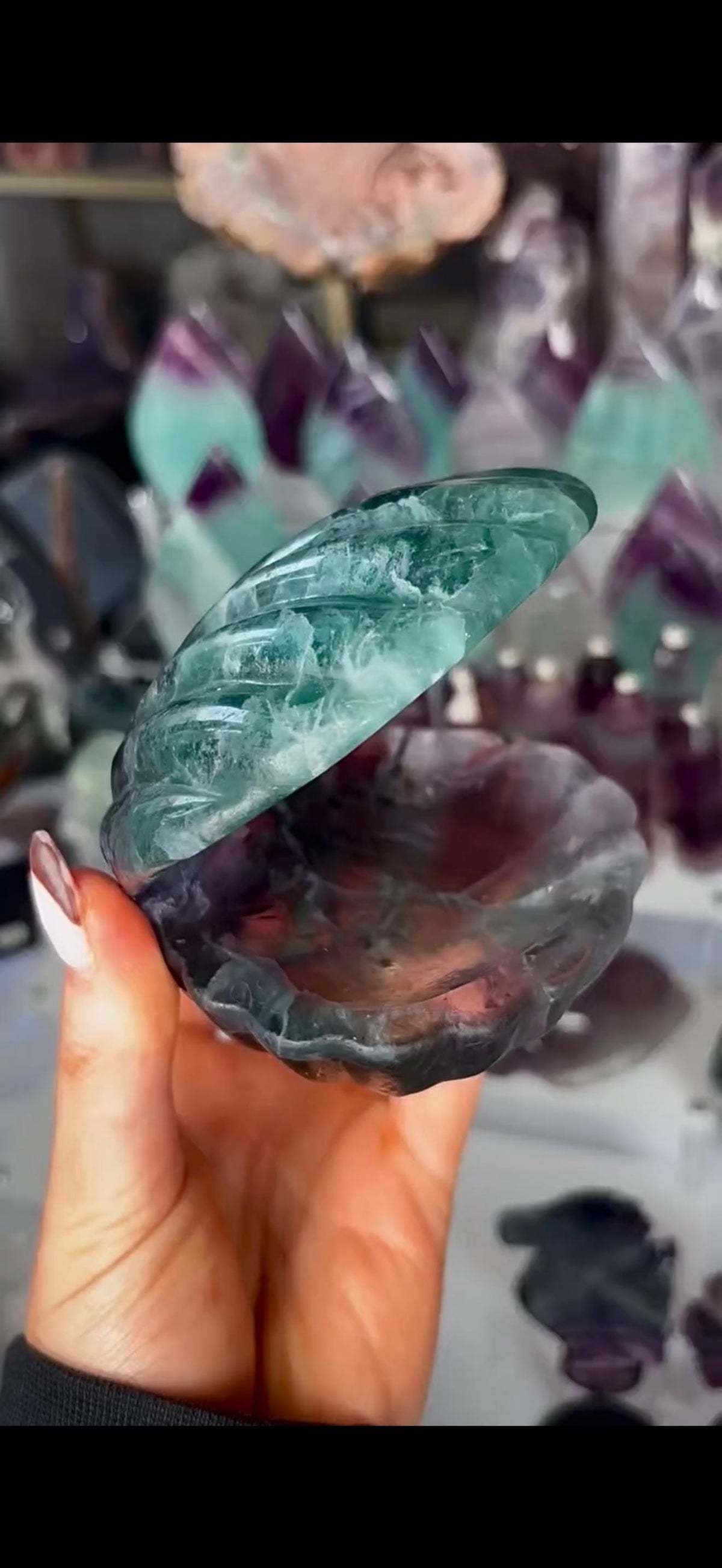 High quality, large watermelon fluorite oyster clam, open shell trinket bowl, dish in purple & green tones