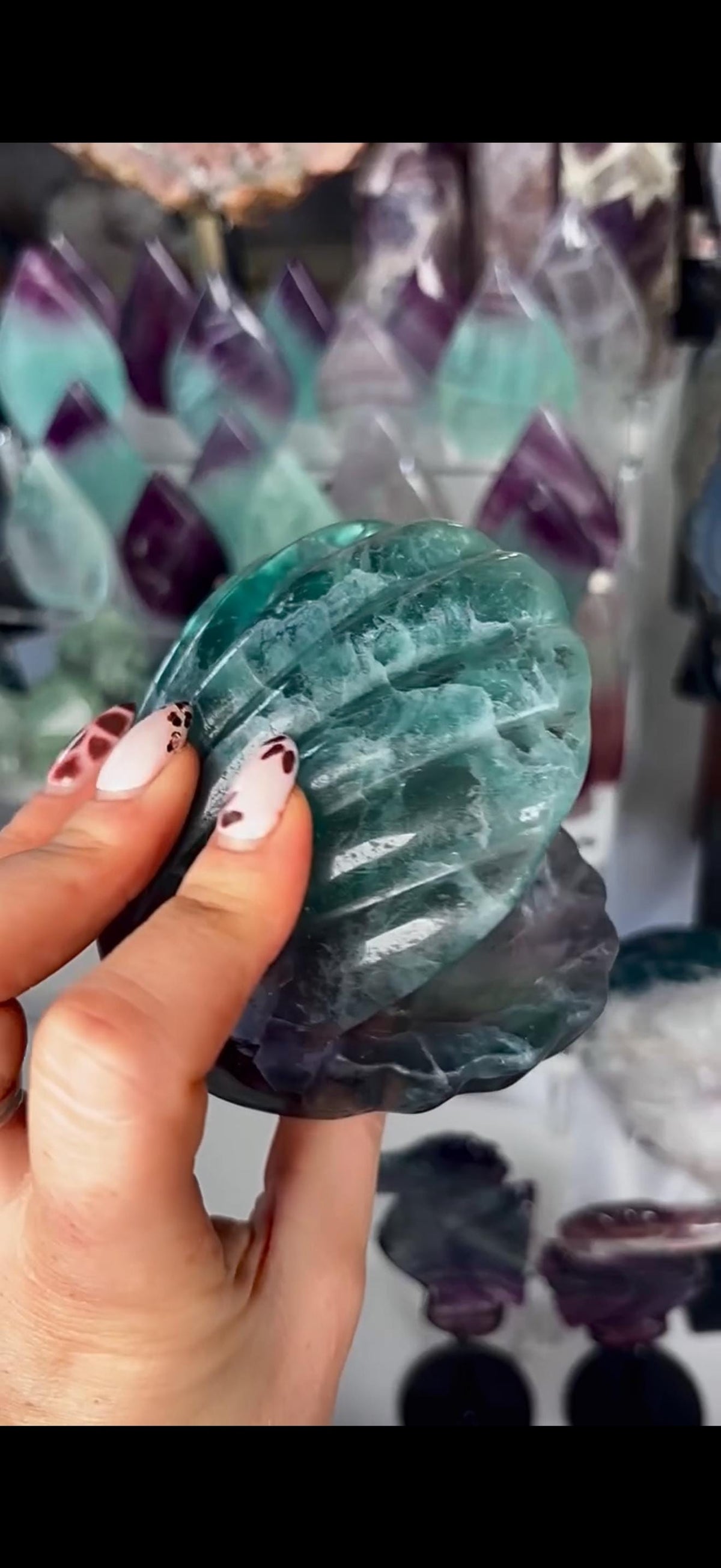 High quality, large watermelon fluorite oyster clam, open shell trinket bowl, dish in purple & green tones