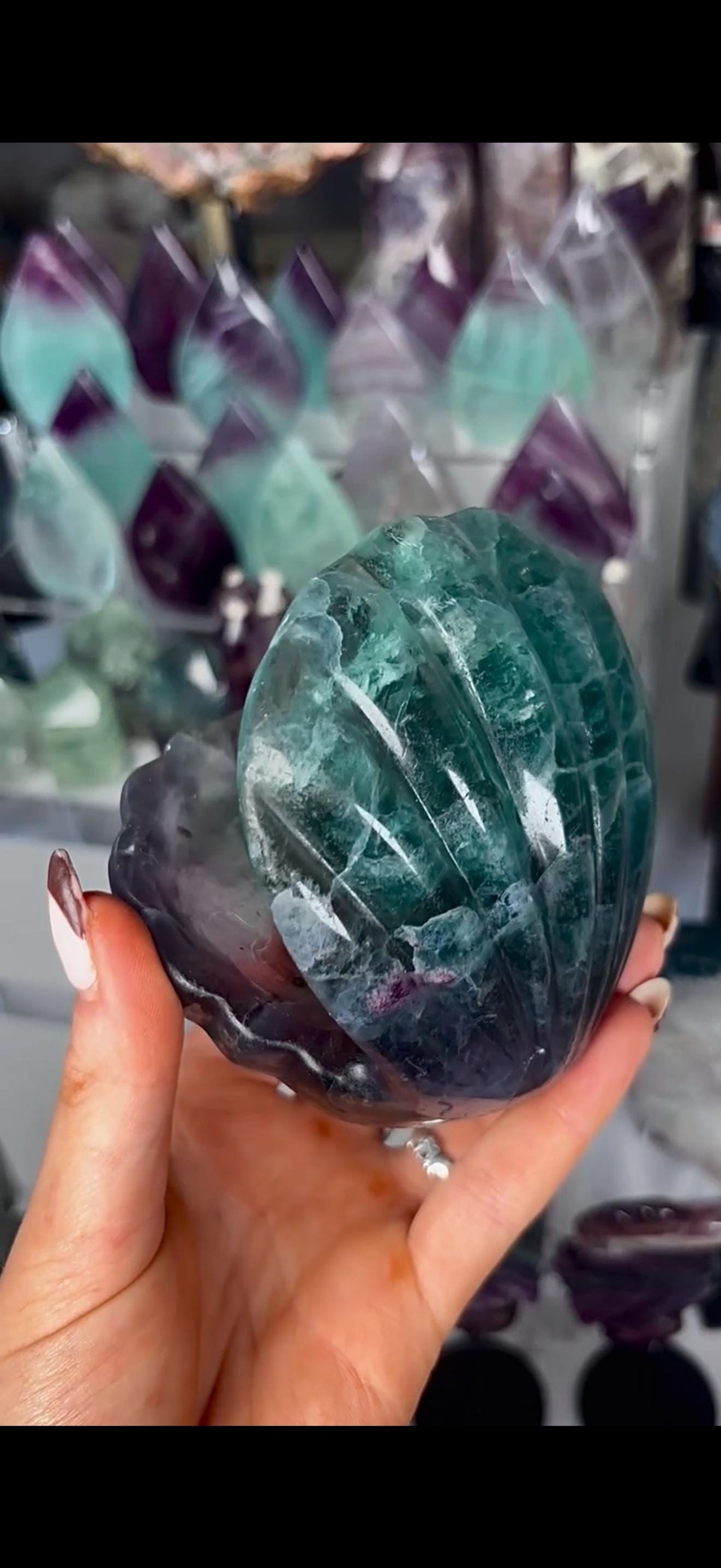 High quality, large watermelon fluorite oyster clam, open shell trinket bowl, dish in purple & green tones