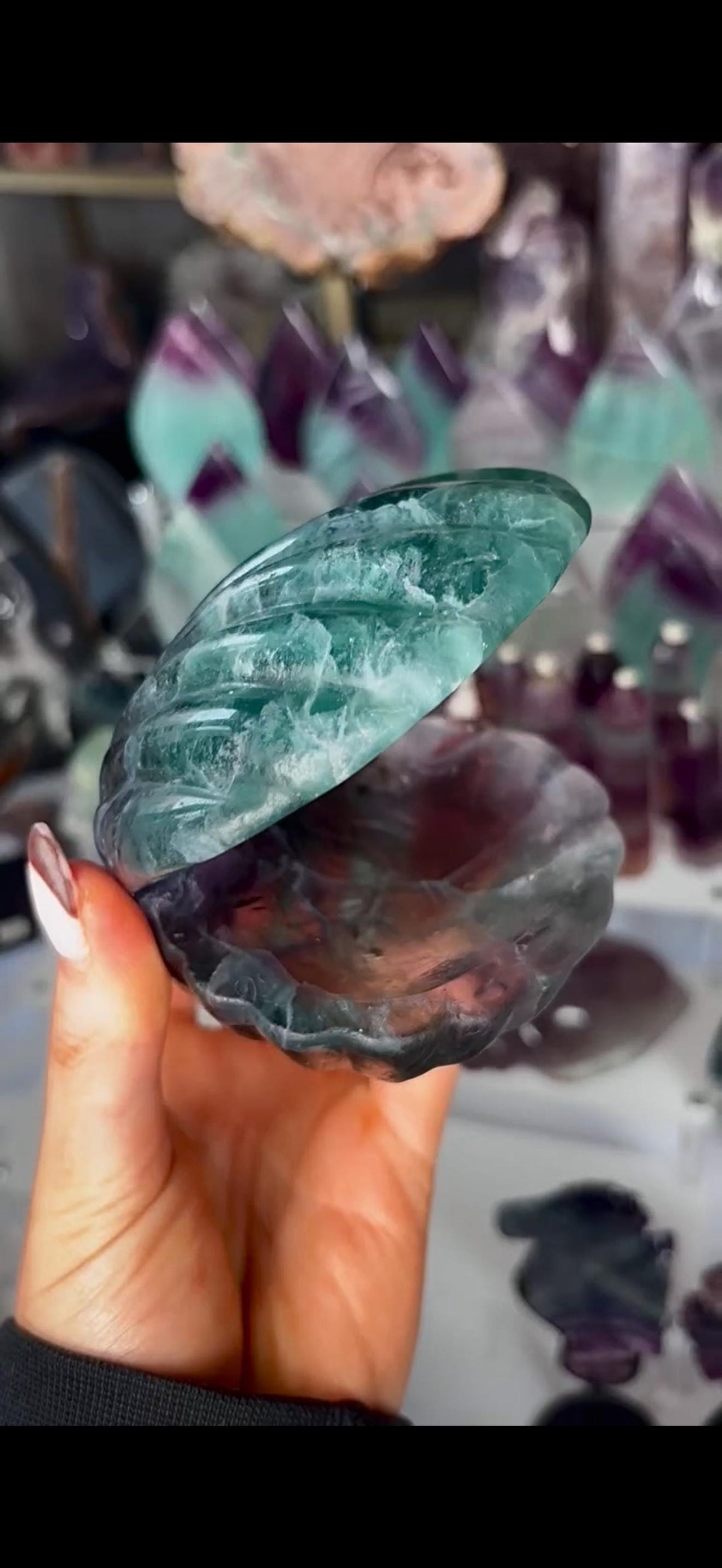 High quality, large watermelon fluorite oyster clam, open shell trinket bowl, dish in purple & green tones