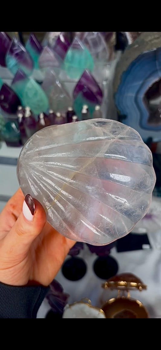 High quality, large lavender & mint green fluorite oyster clam, open shell trinket bowl, dish