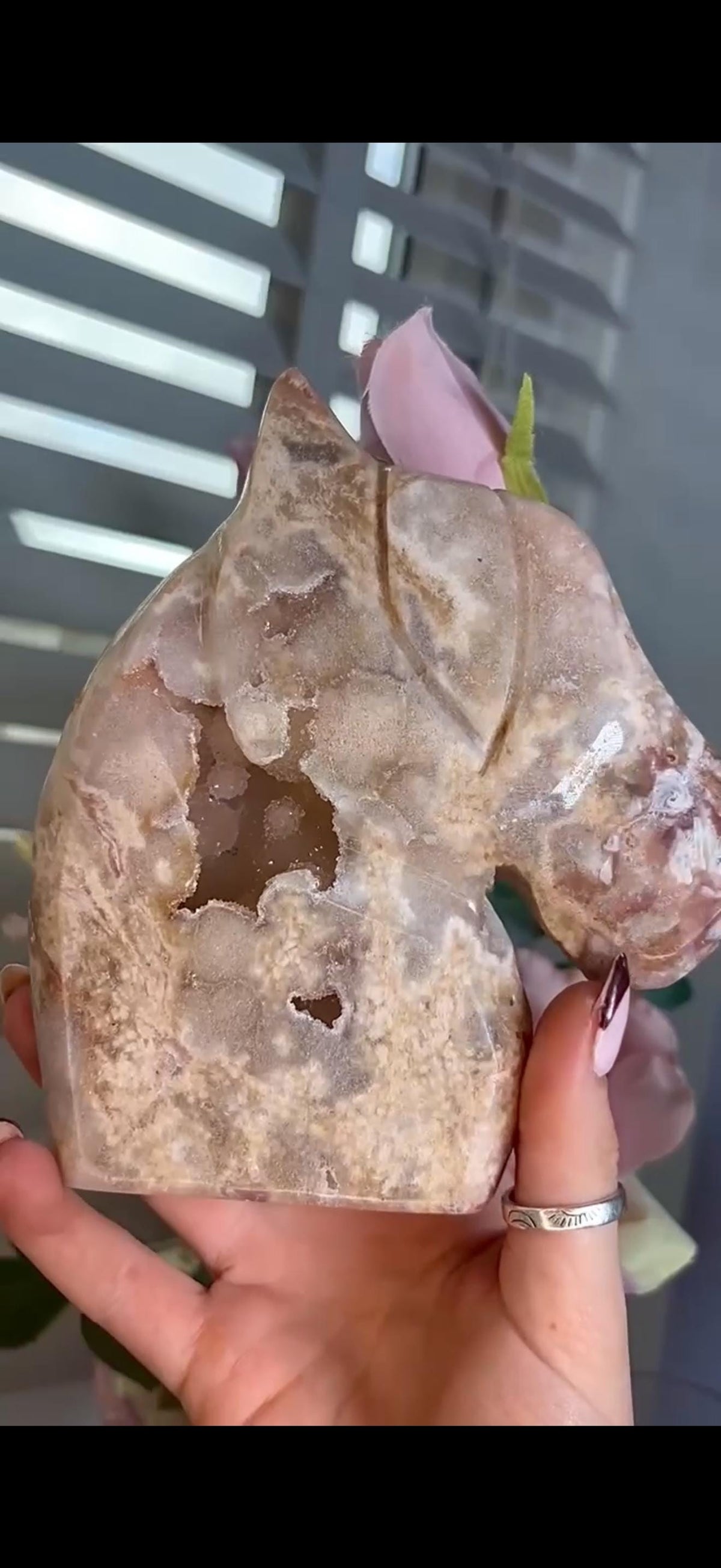 High grade, golden pink amethyst horse, pony carving with sugar druzy 820g