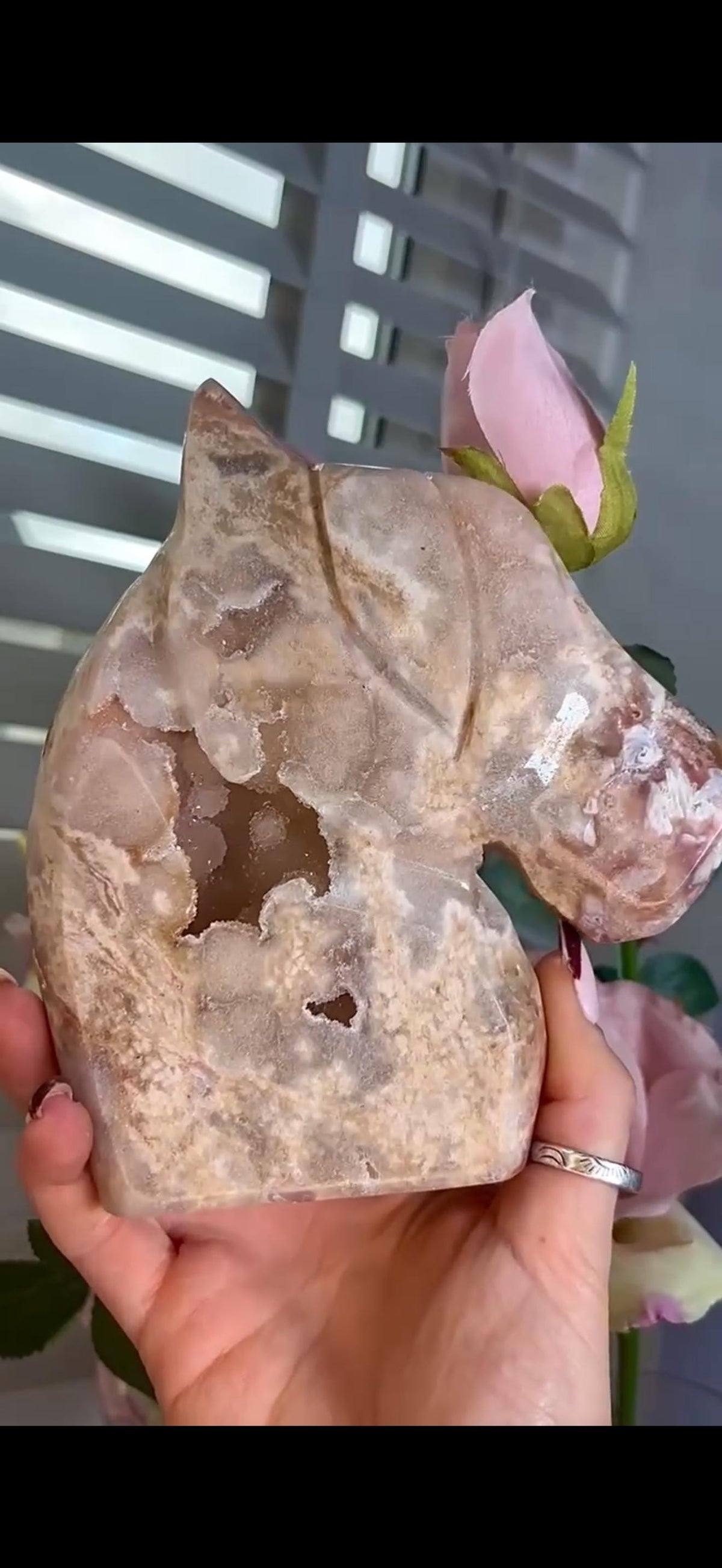High grade, golden pink amethyst horse, pony carving with sugar druzy 820g