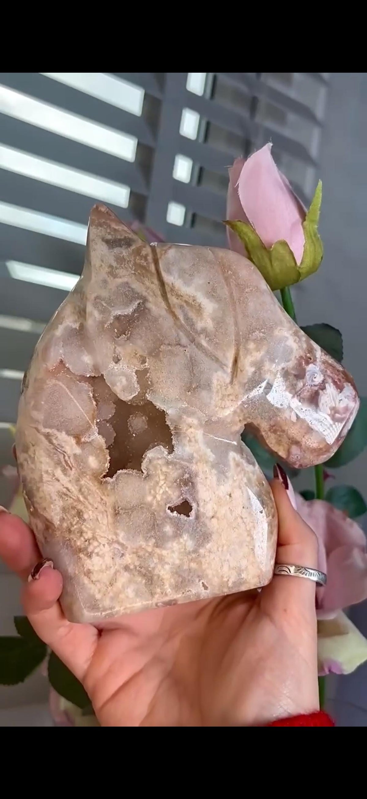 High grade, golden pink amethyst horse, pony carving with sugar druzy 820g