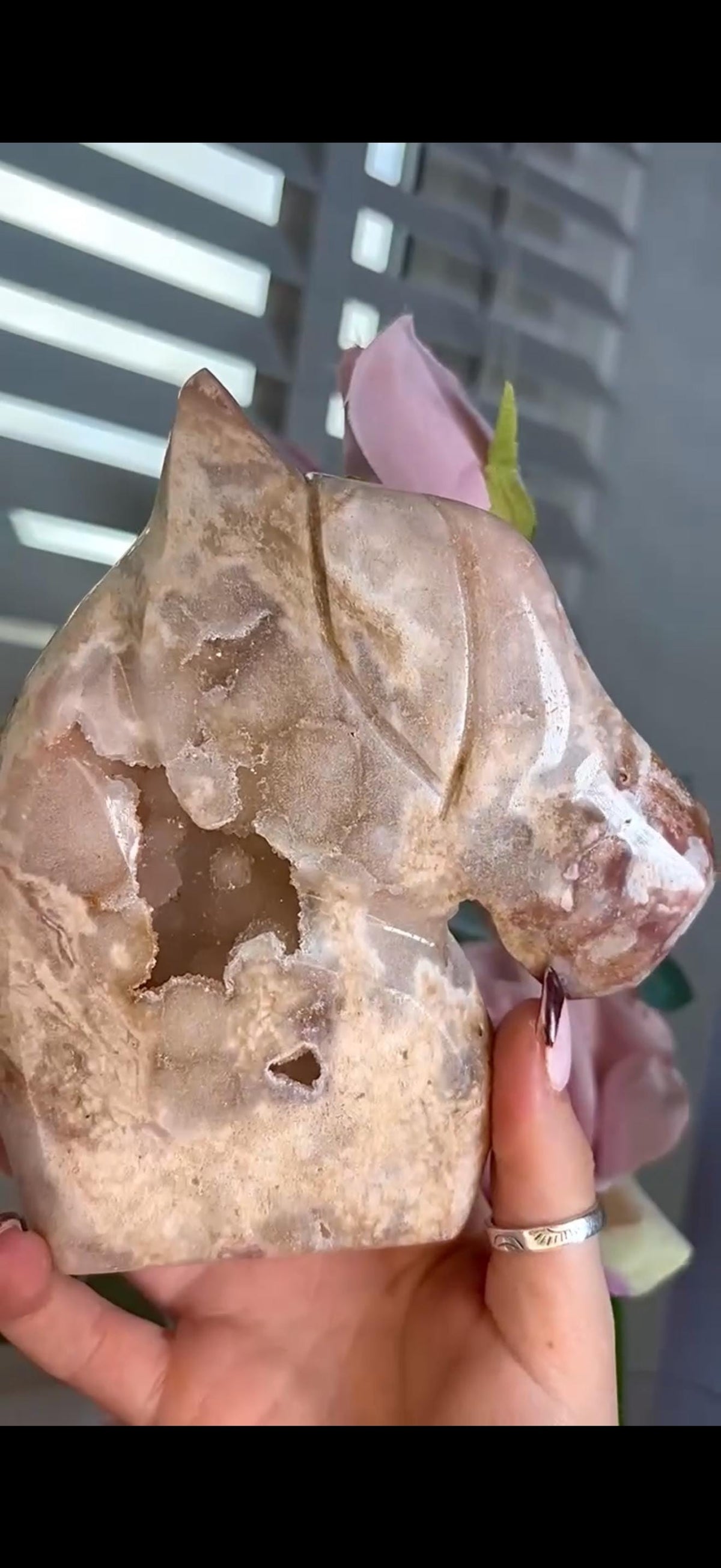 High grade, golden pink amethyst horse, pony carving with sugar druzy 820g