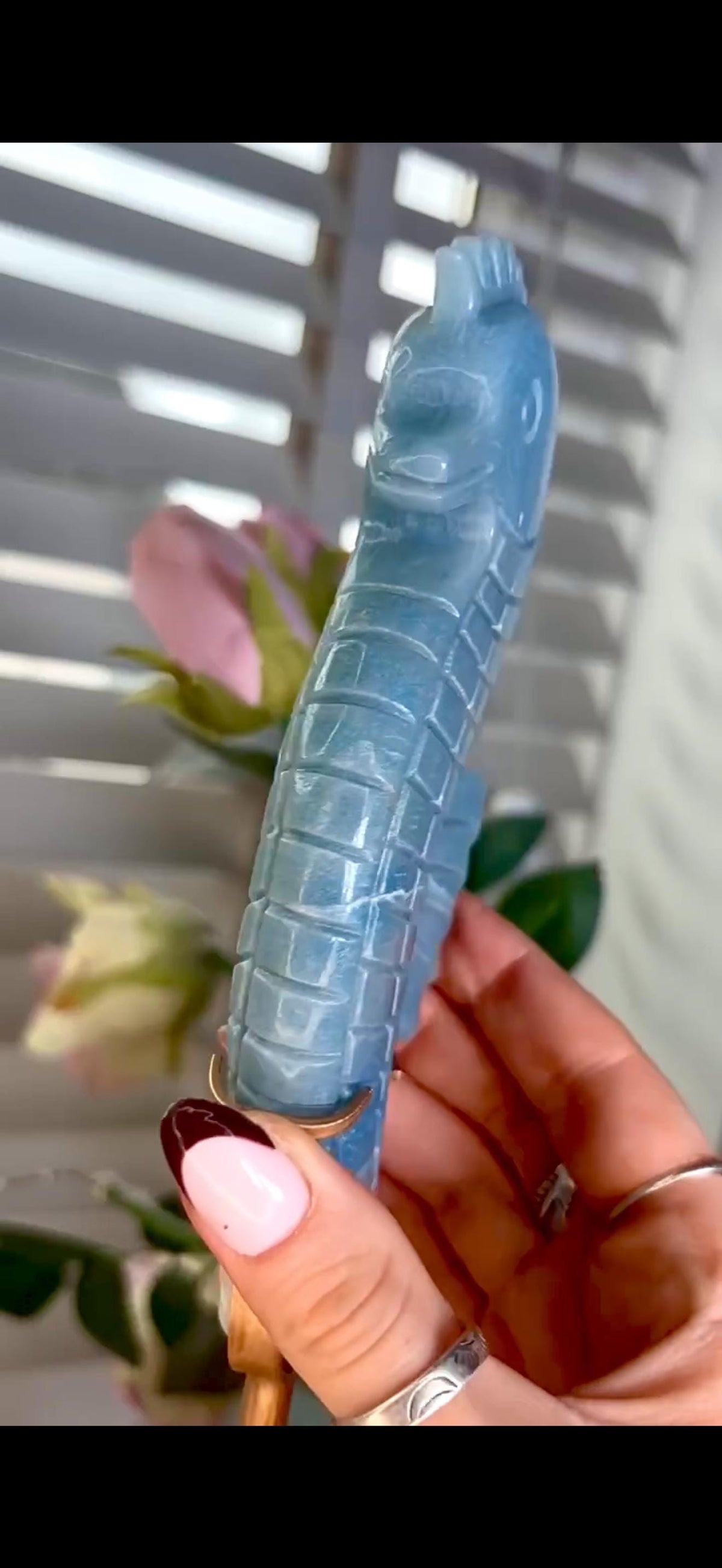Gorgeous blue trolliete, sea horse - on custom stand