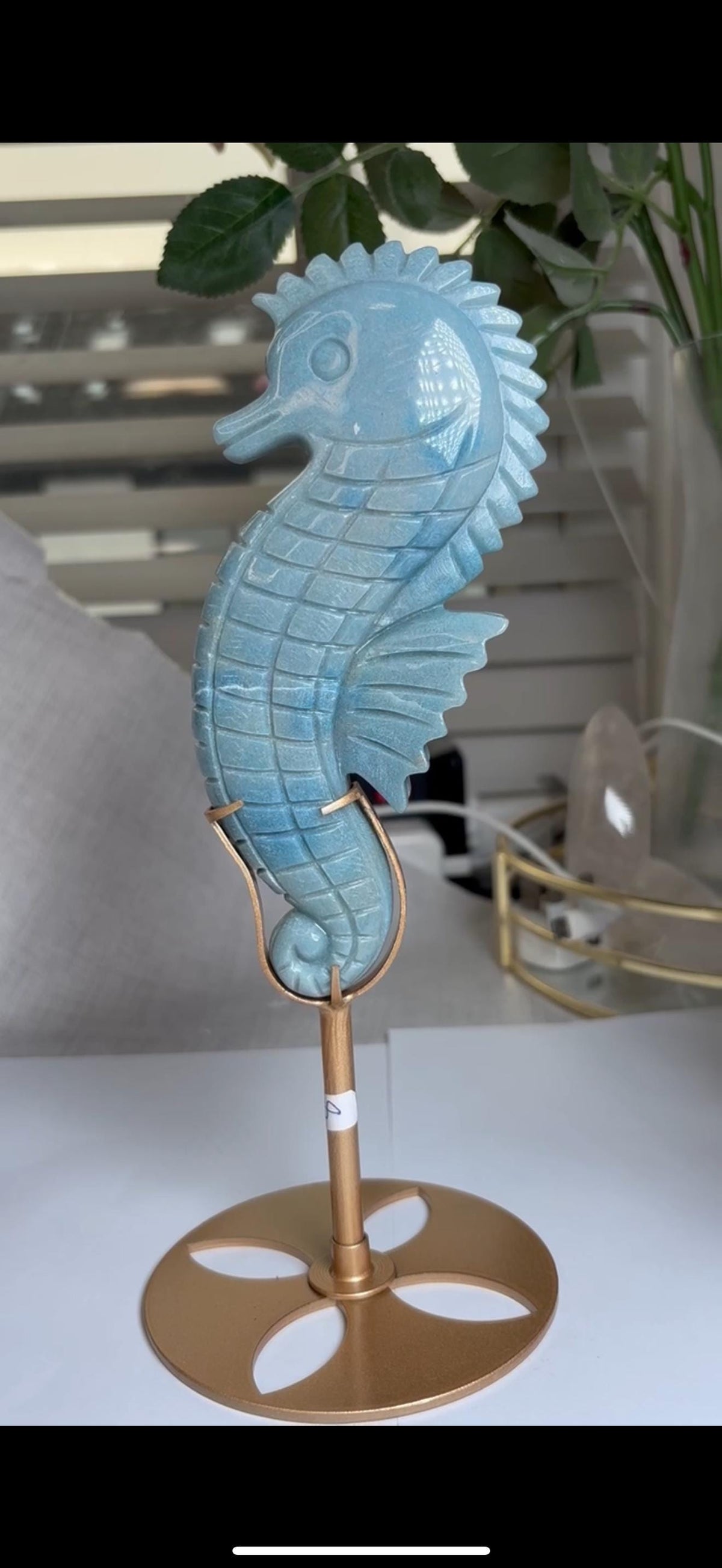 Gorgeous blue trolliete, sea horse - on custom stand