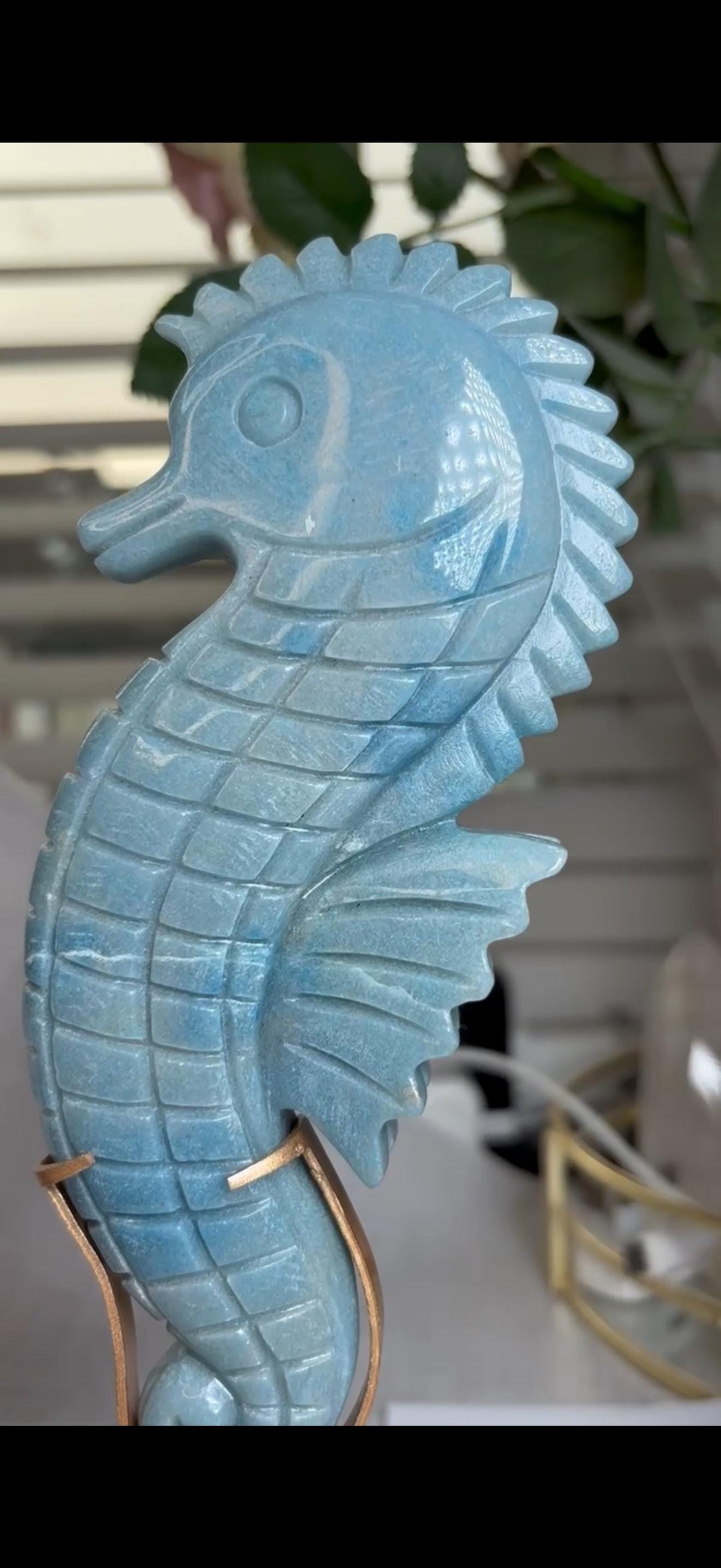 Gorgeous blue trolliete, sea horse - on custom stand