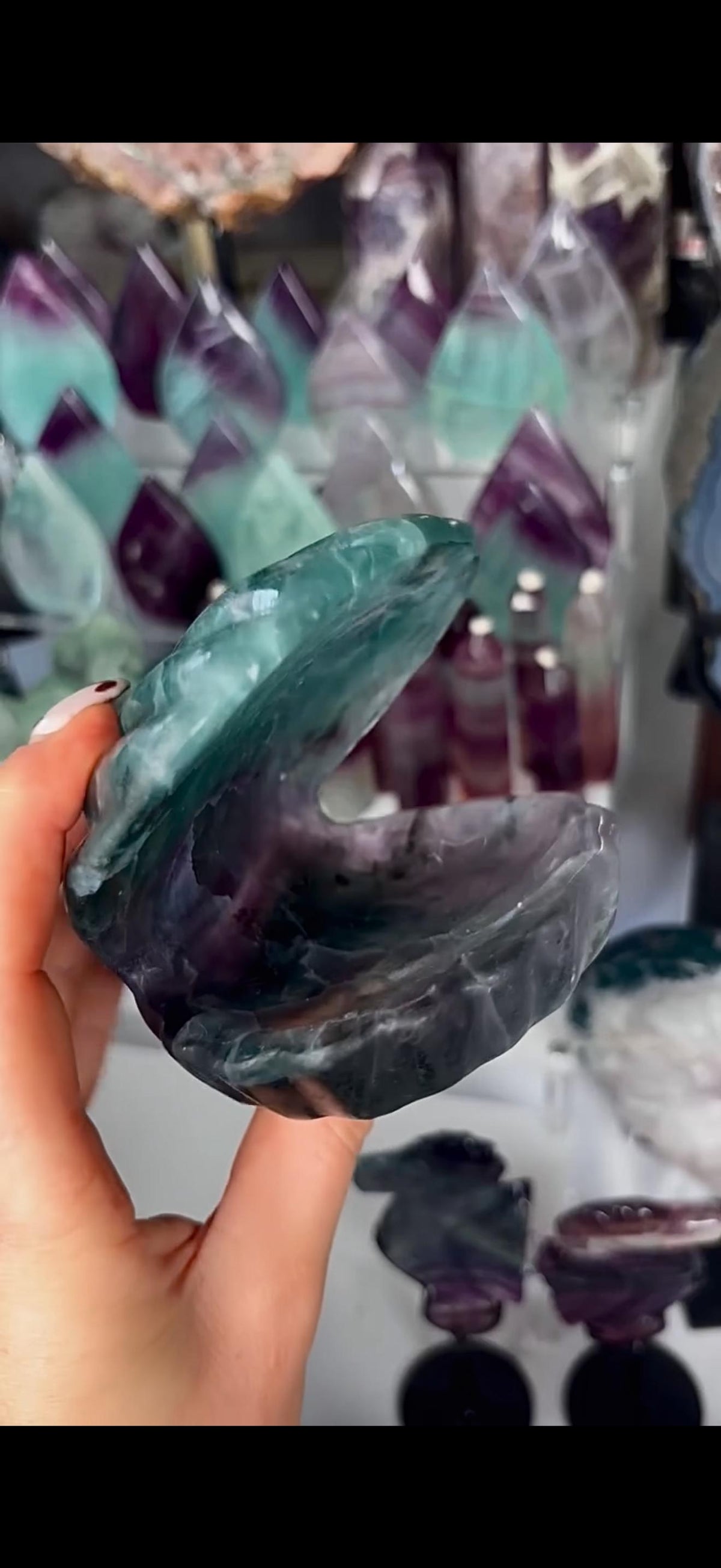 High quality, large watermelon fluorite oyster clam, open shell trinket bowl, dish in purple & green tones