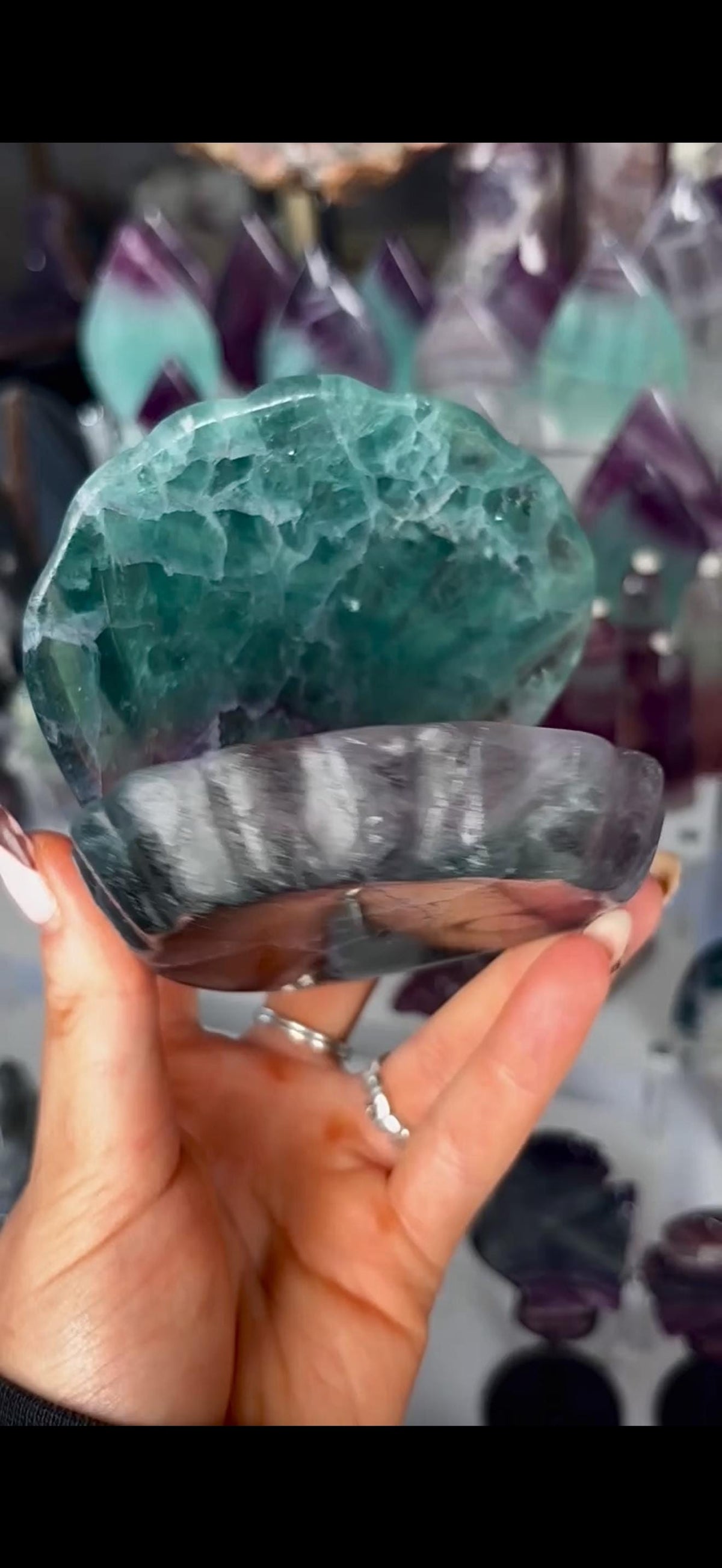 High quality, large watermelon fluorite oyster clam, open shell trinket bowl, dish in purple & green tones