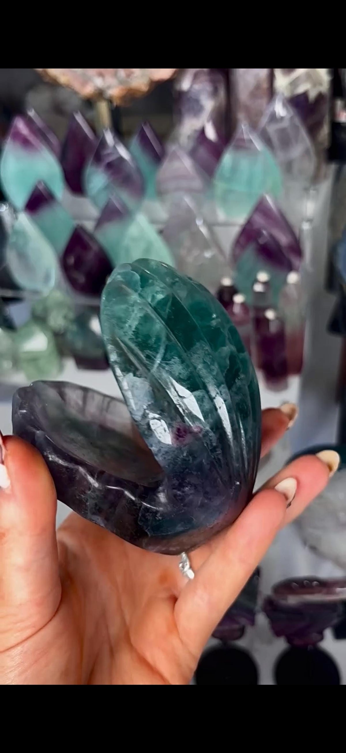 High quality, large watermelon fluorite oyster clam, open shell trinket bowl, dish in purple & green tones
