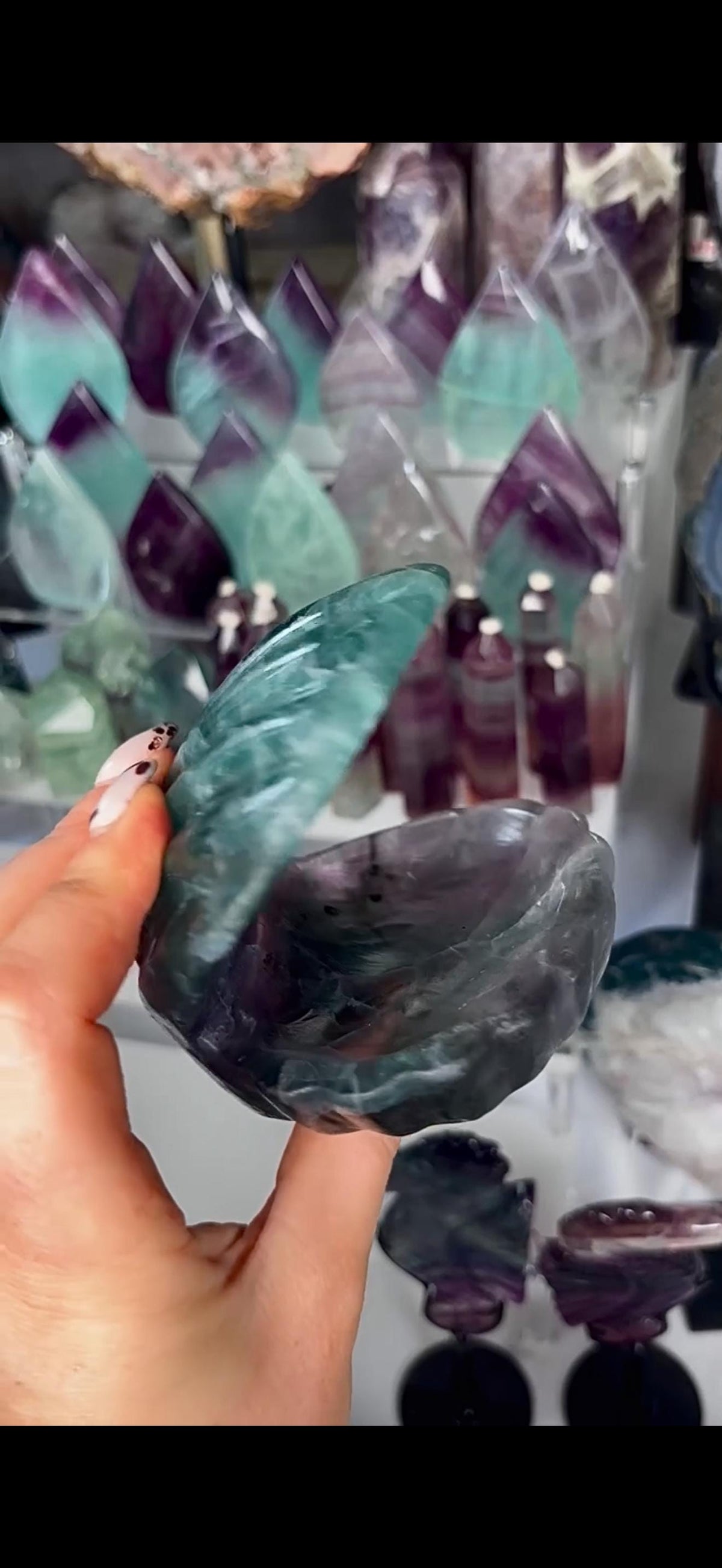 High quality, large watermelon fluorite oyster clam, open shell trinket bowl, dish in purple & green tones