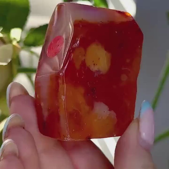 High quality, Carnelian Freeform